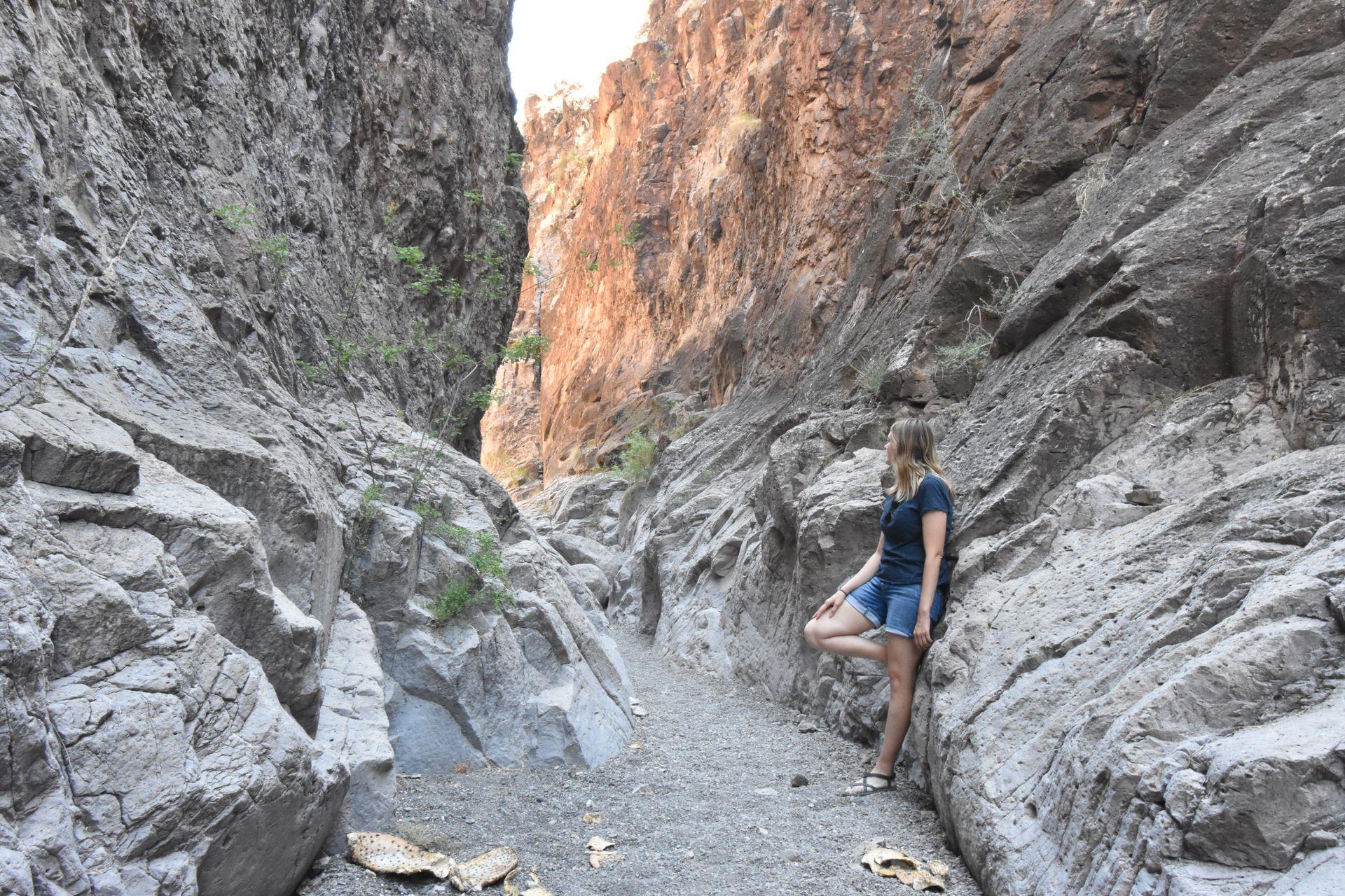 Lydia leaning against a canyon wall on the Closed Canyon trail in Big Bend Ranch State Park.