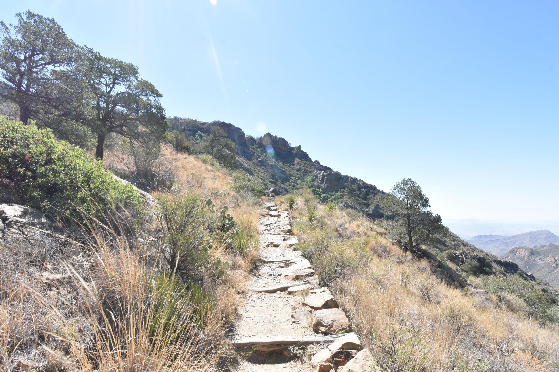 The Lost Mine trail. A rocky trail leads up the side of a mountain and is surrounded by tall grasses.