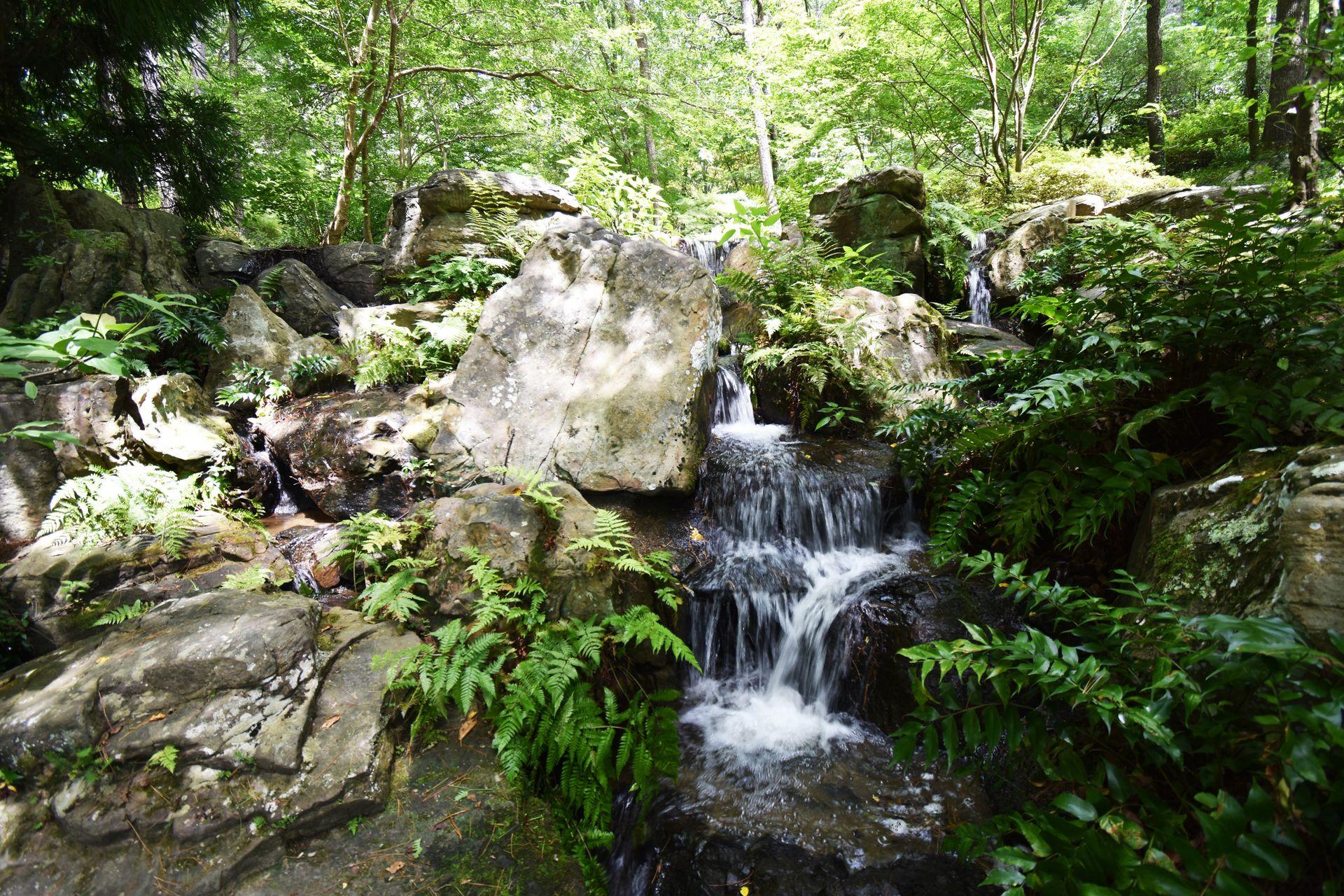 A small waterfall cascading down rocks surrounded by greenery.
