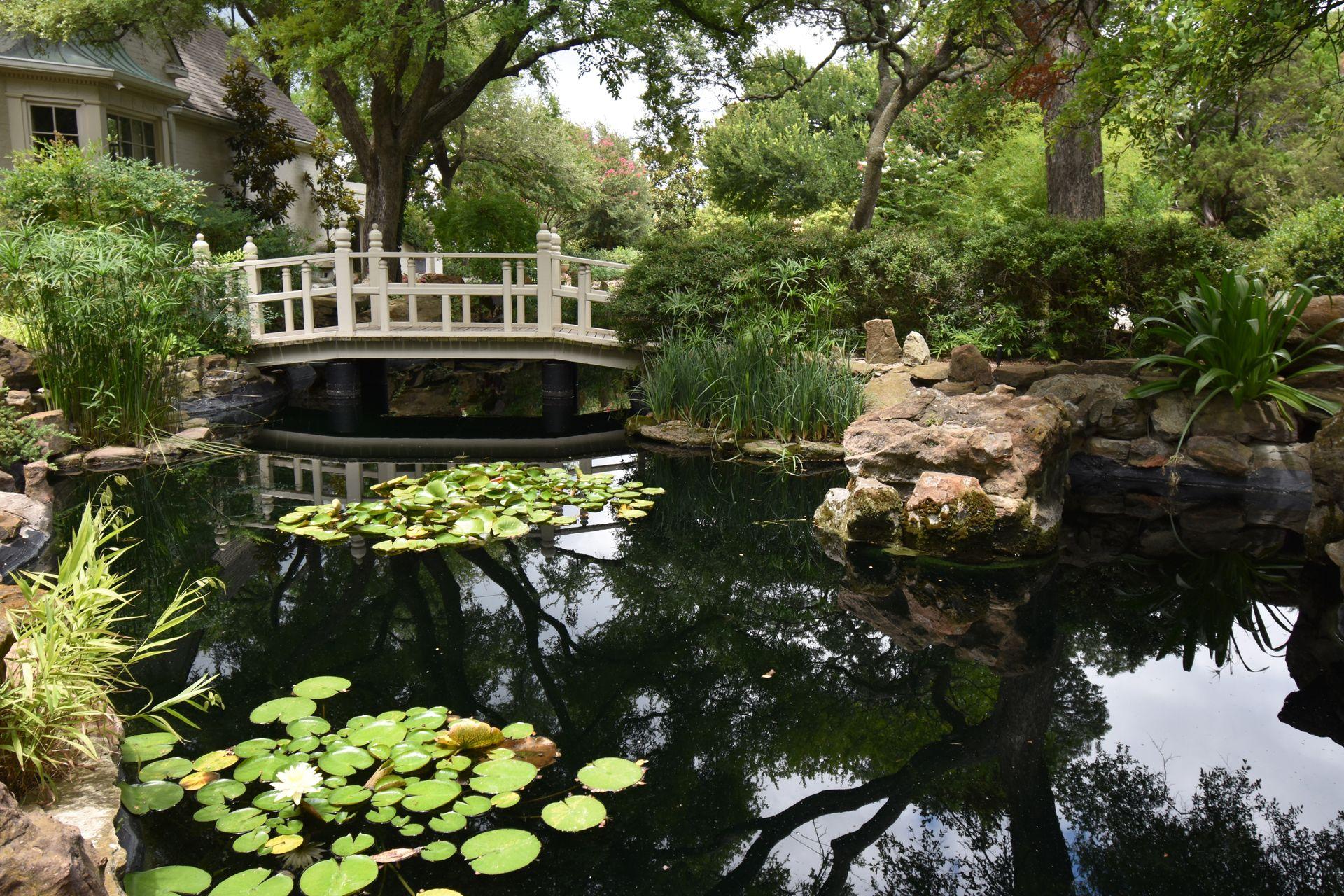 A pond with lily pads and a small bridge at Chandor Gardens.
