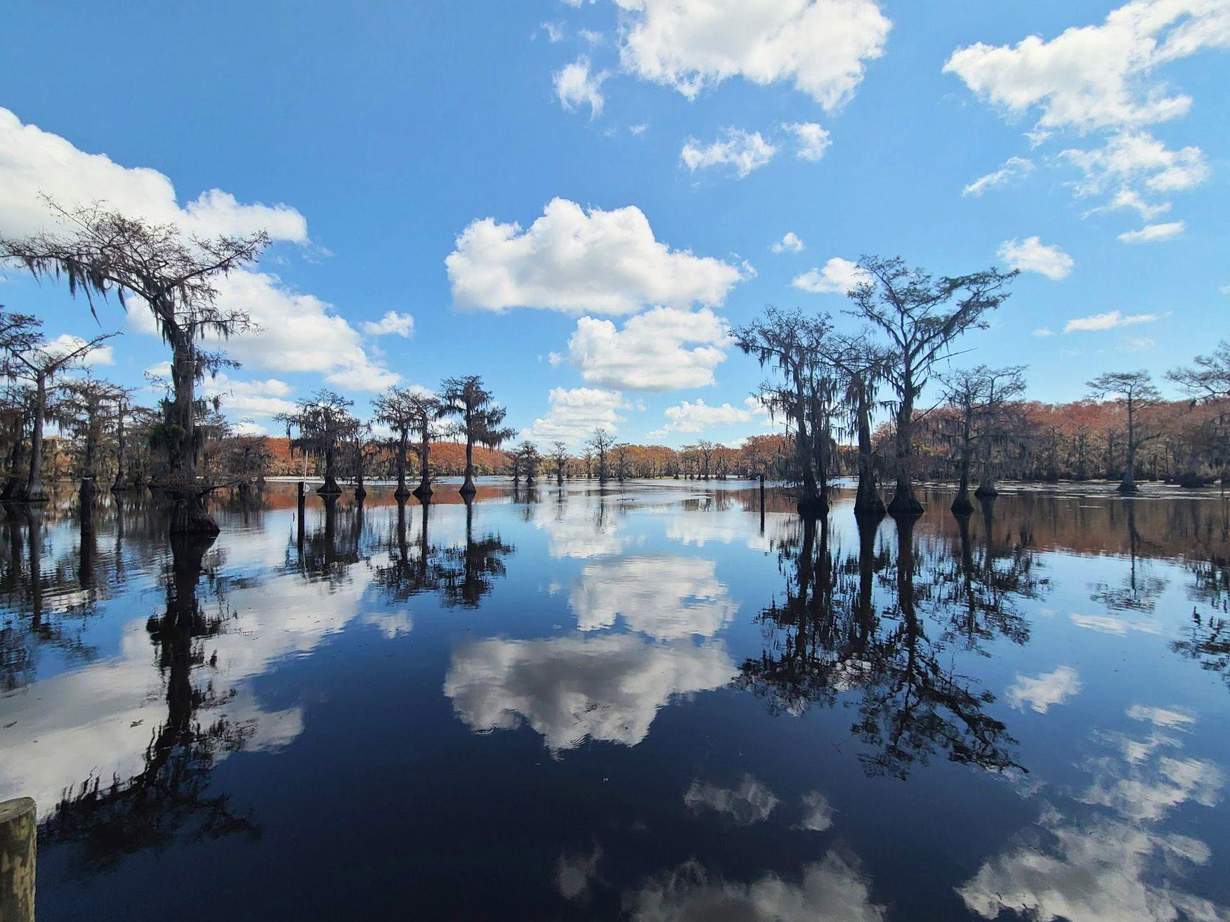 A view of Caddo Lake from Uncertain, Texas. The trees and clouds reflect down into the still water and many of the trees look red.