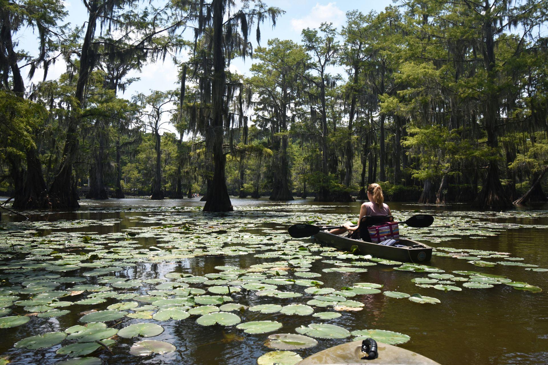 Lydia facing away, sitting in her canoe, surrounded by lily pads in the water of Mill Pond.