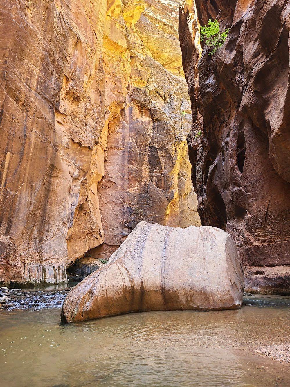 A giant boulder in the middle of the water with towering canyon walls above it.