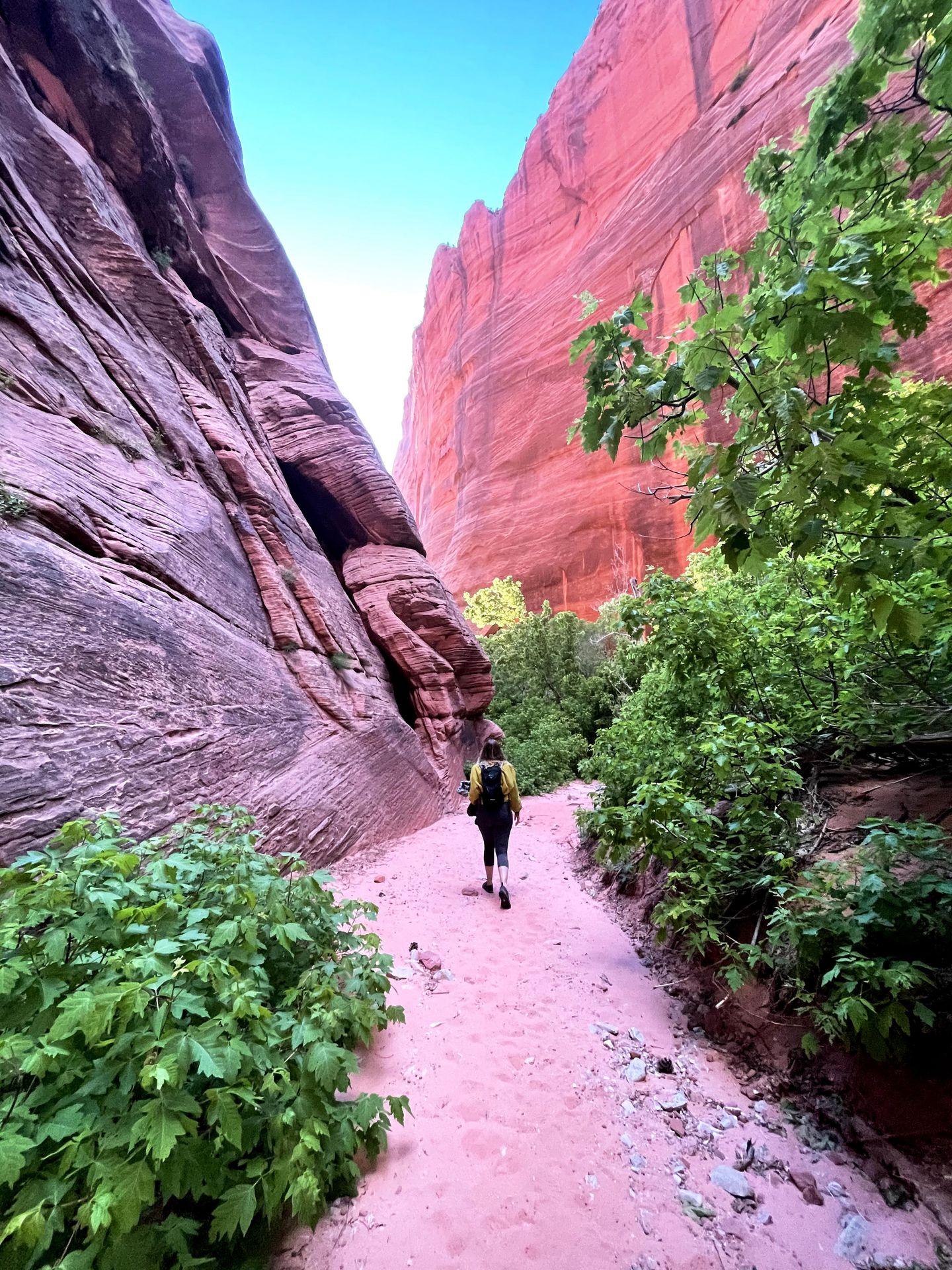 Lydia hiking on pink sand in Kolob Canyons.