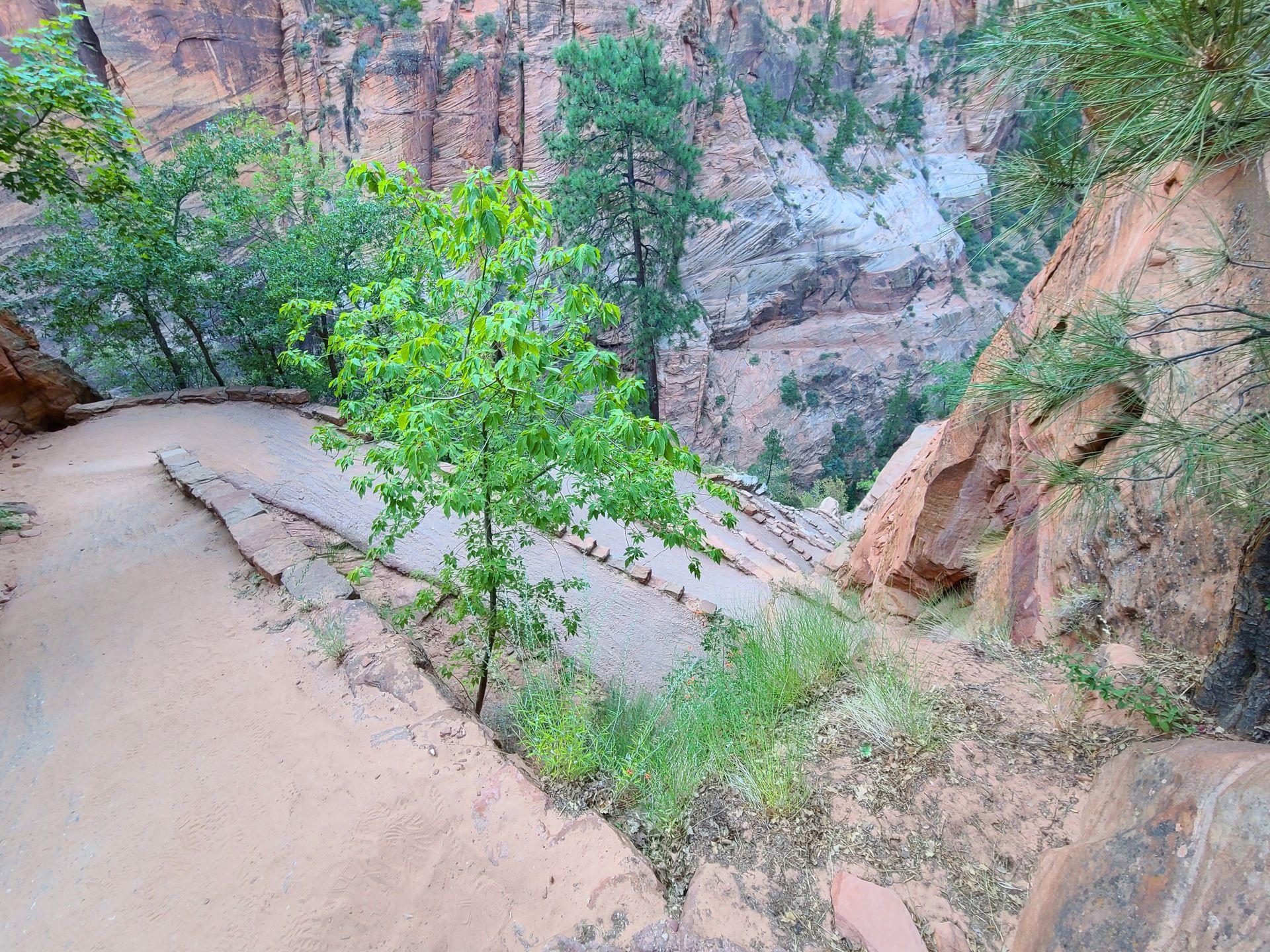 Looking down at a set up tight switchbacks on the Angel's Landing trail.