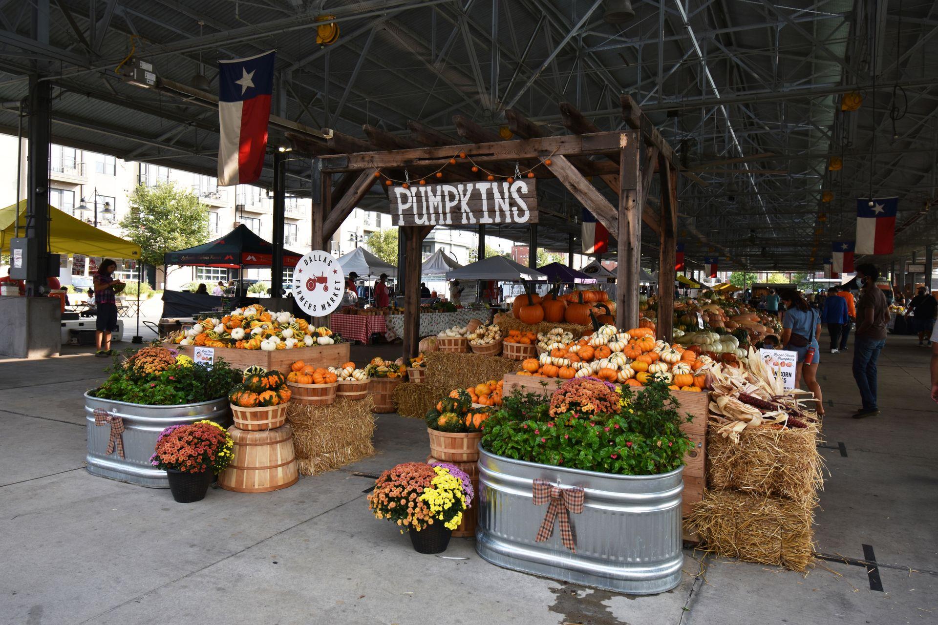 A covered outdoor space at the Dallas Farmer's Market with a large display of pumpkins on top of haystacks. There is a wooden arch that reads "Pumpkins"