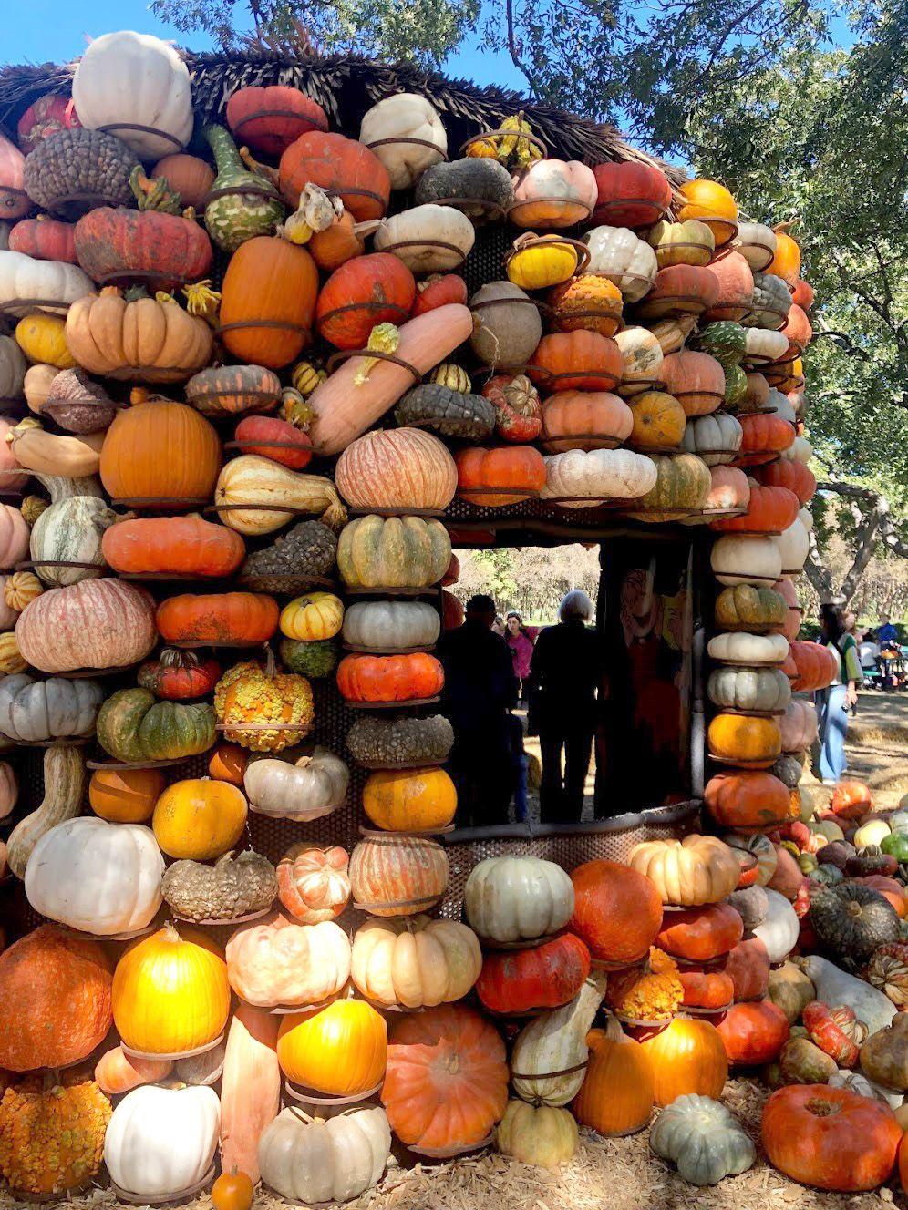 A round building covered in a variety of pumpkins.