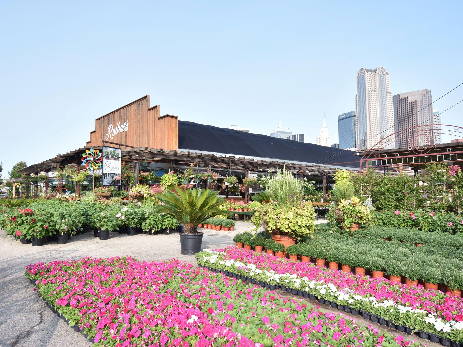 The Ruibals Plant Store with a large display of pink flowers and greenery outside of the store.