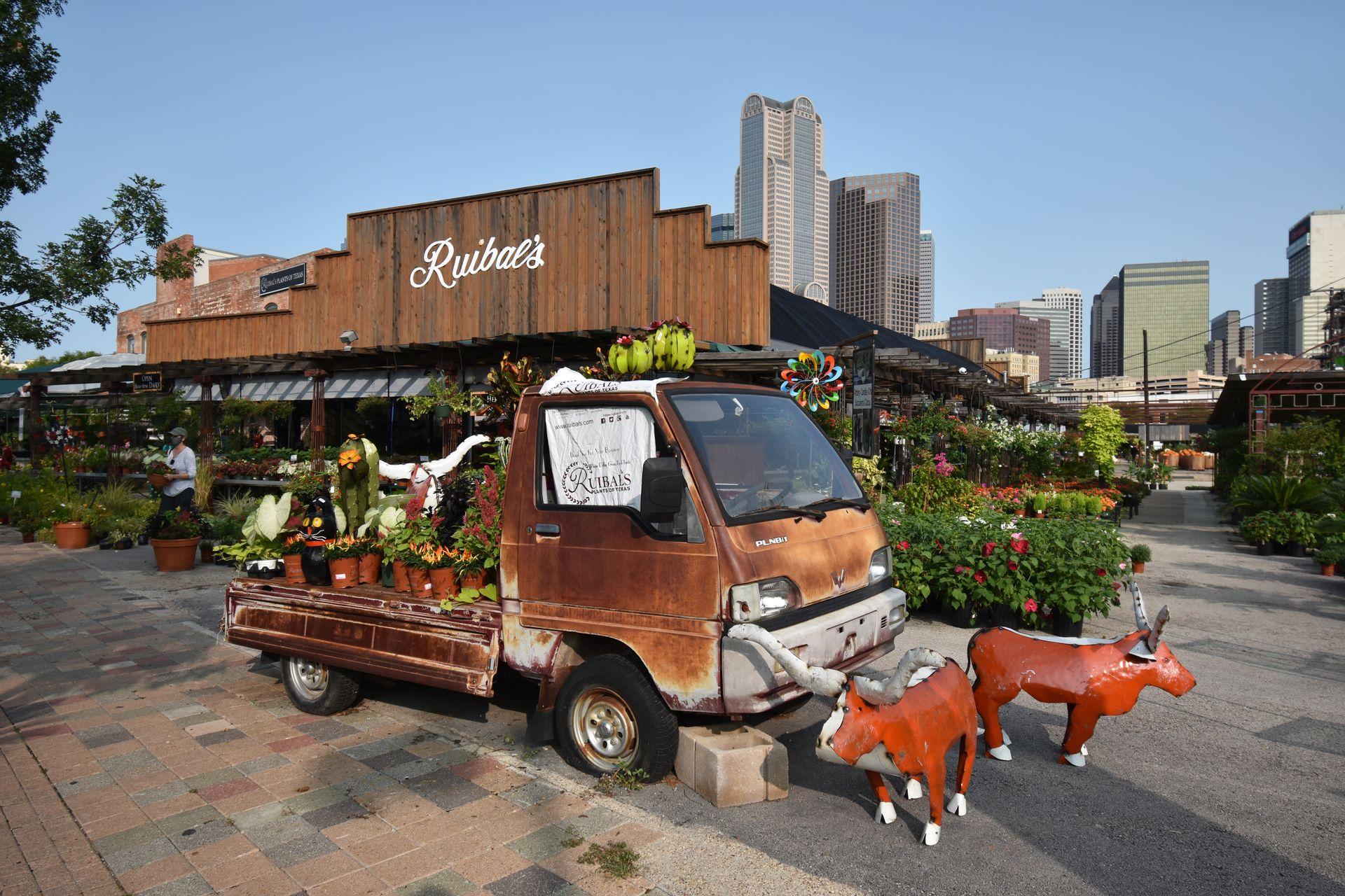 A vintage pick up truck full of plants outside of Ruibal's Plant Shop