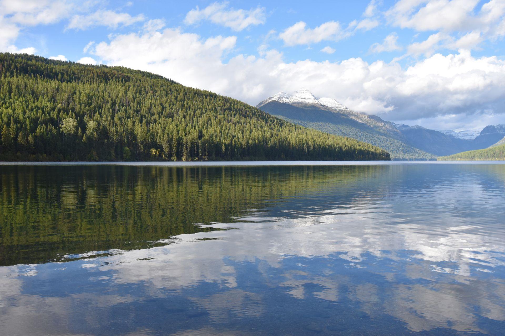 A mountain covered in trees reflecting down into the water at Bowman Lake.
