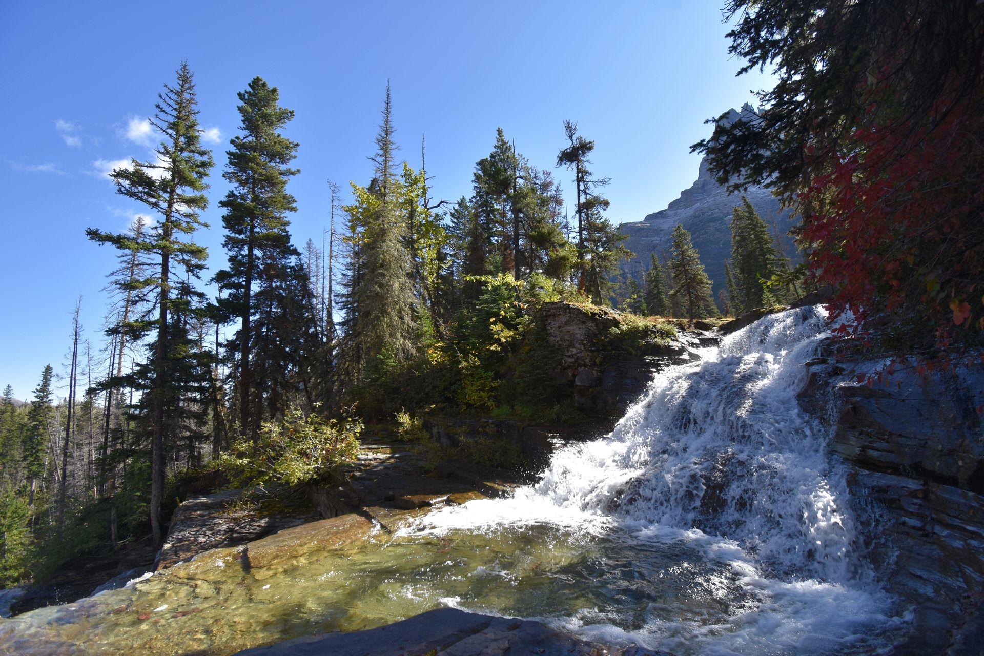 A small waterfall with pine trees in the background.