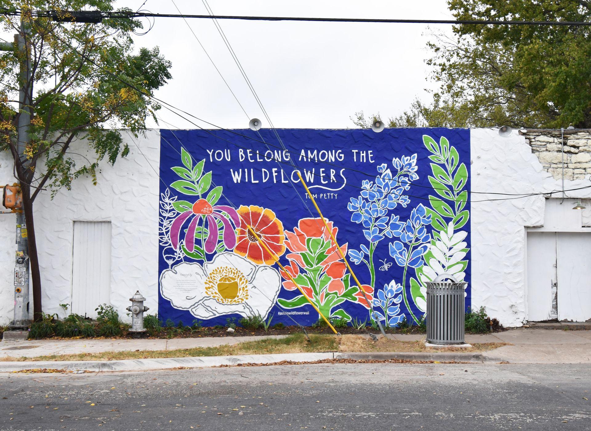 A mural that reads "You Belong Among the Wildflowers"
