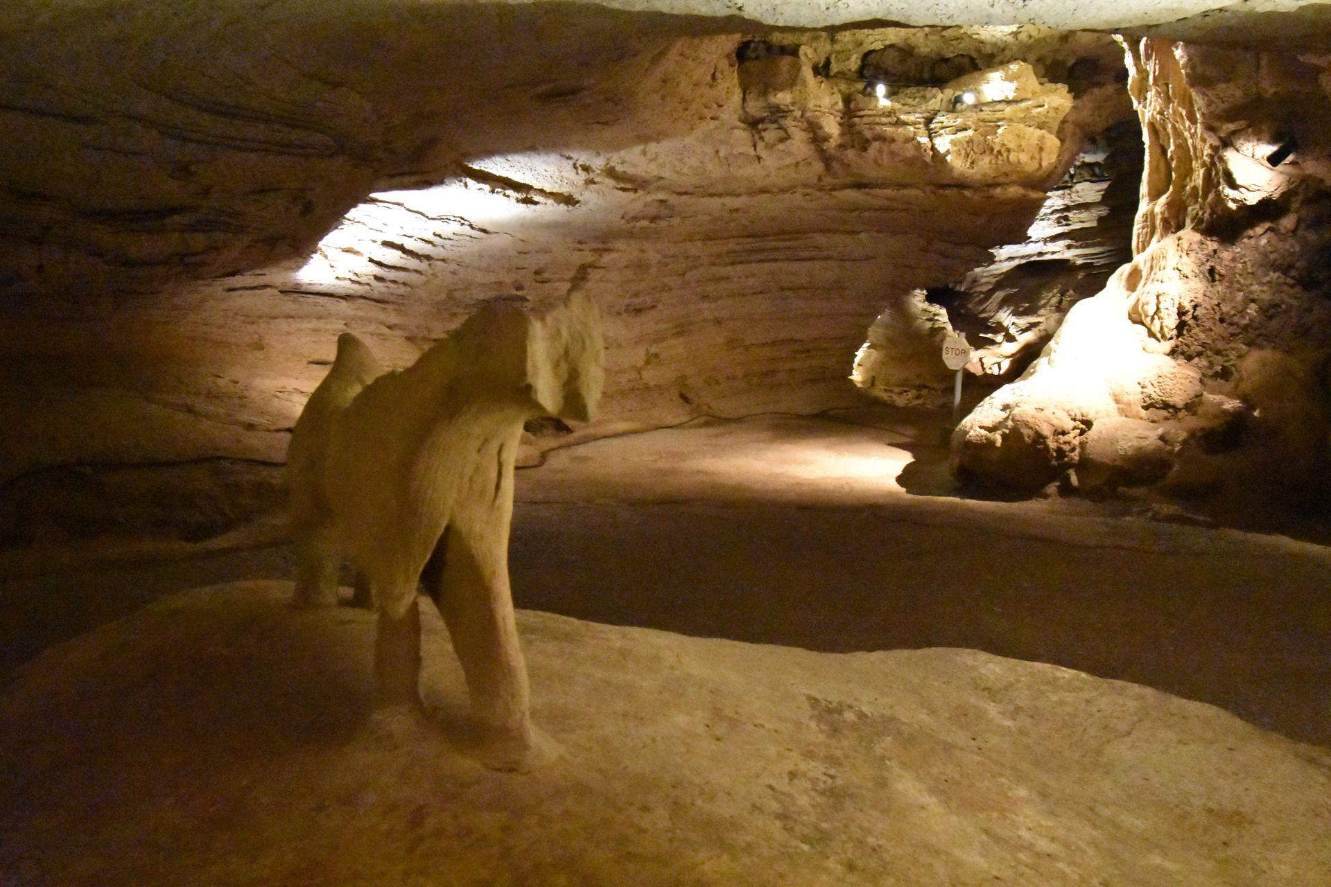 The dog rock formation inside of Longhorn Caverns.