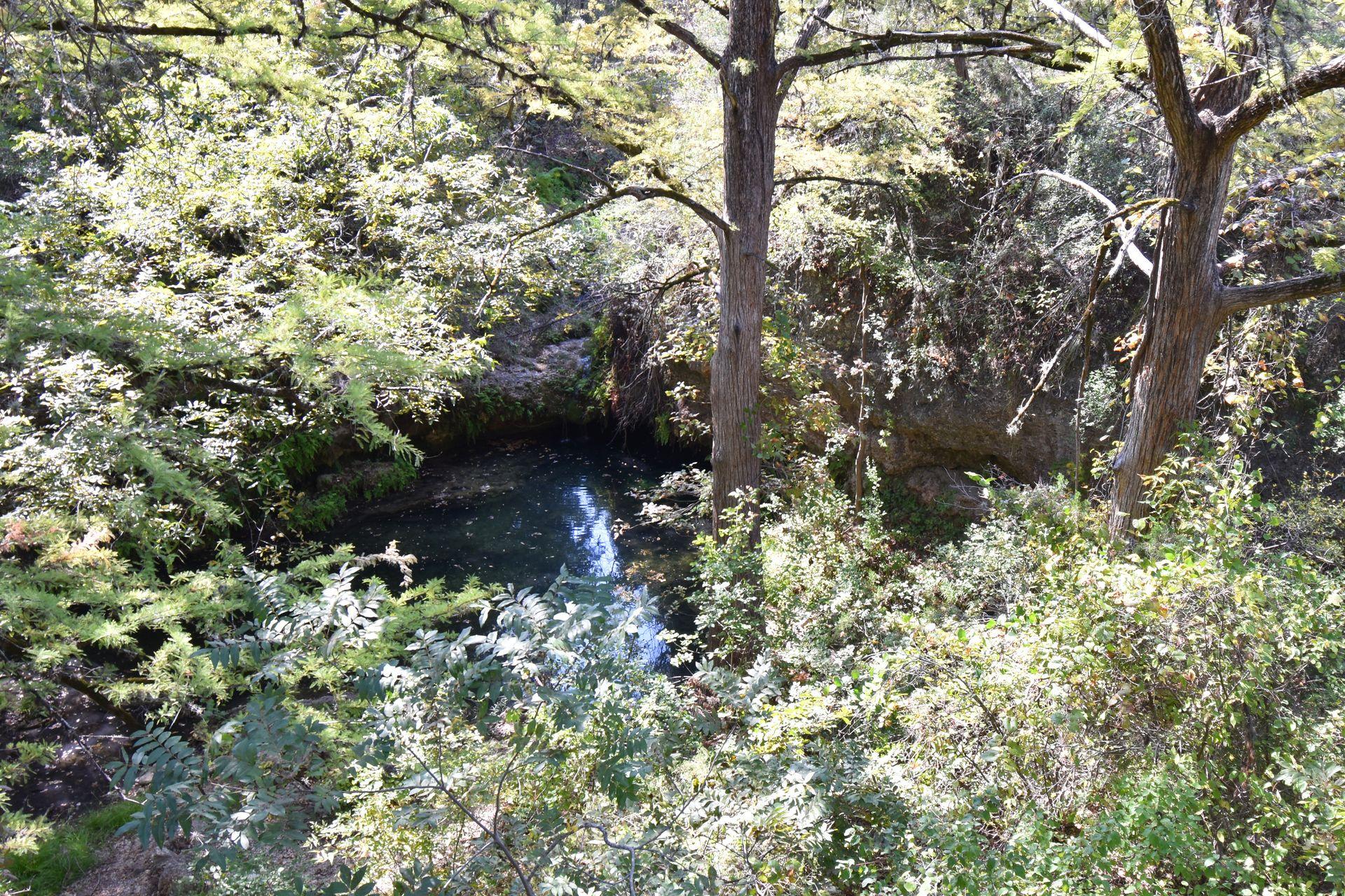 An area of green trees surrounding a cove area