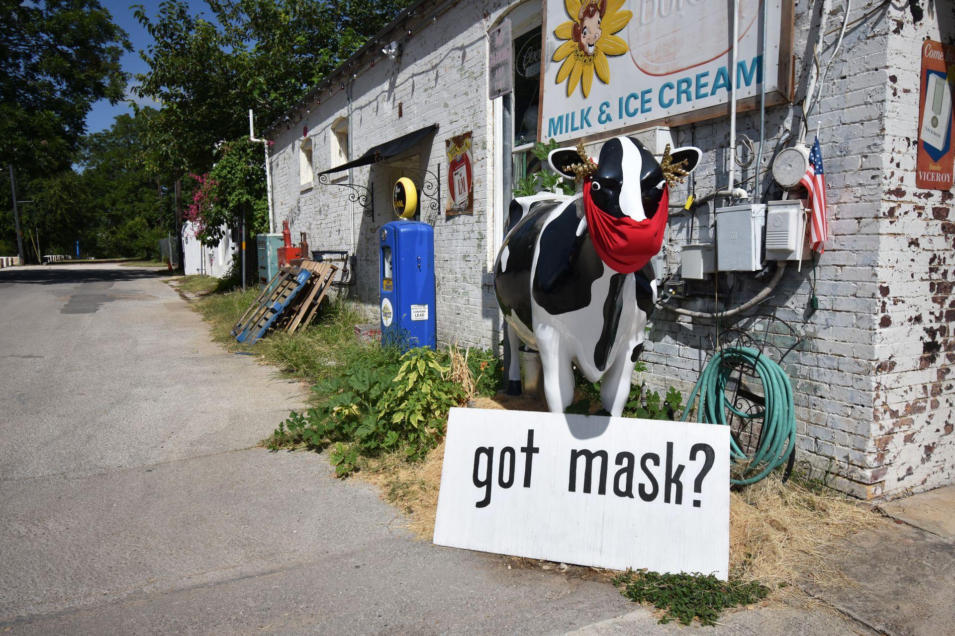 A cow statue with a red mask and a sign that reds "got mask?" There are other ecletic goods sitting outside of Flashback Funtiques.