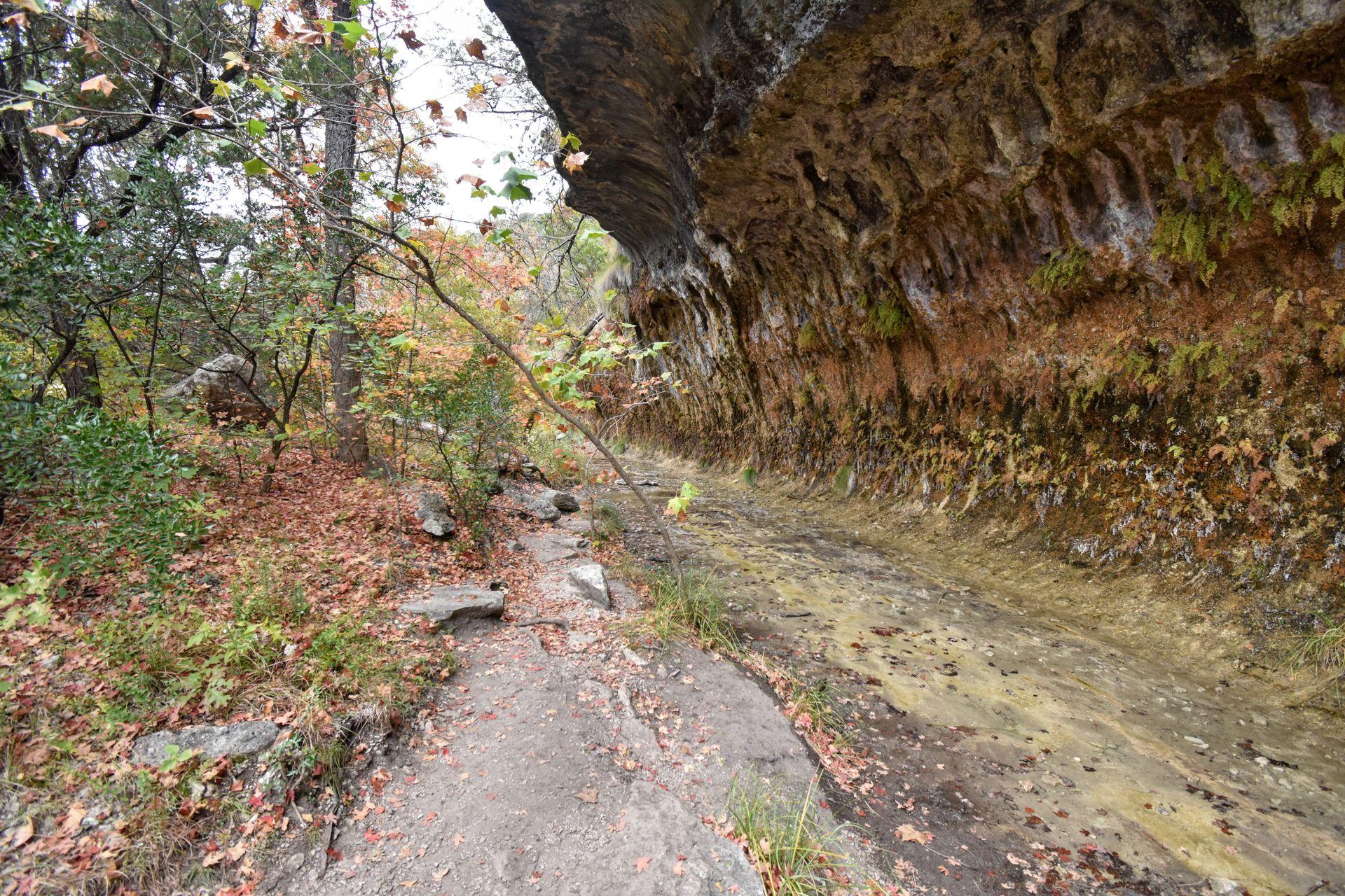 A grotto area on the East Trail in Lost Maples State Park