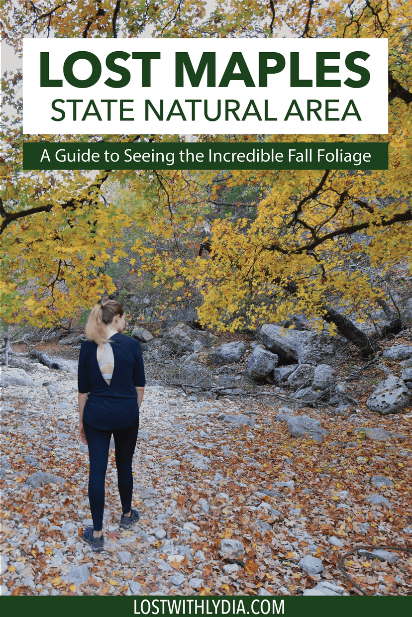 Experience the best fall foliage in Texas at Lost Maples State Park! This is the perfect Texas Hill Country destination to visit in the fall!