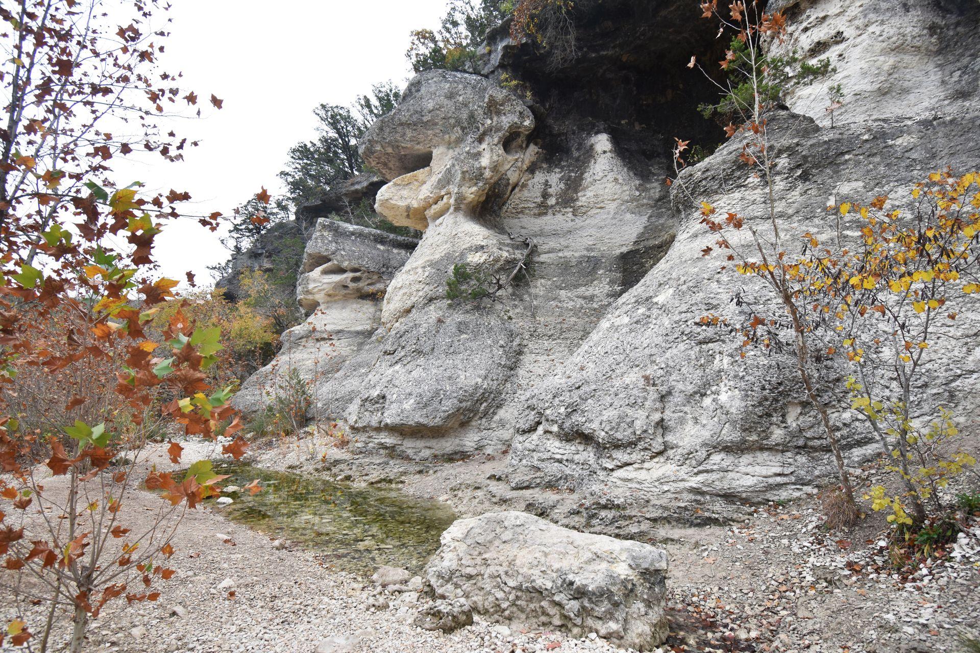 A rock formation that resembles a monkey along the East Trail in Lost Maples.