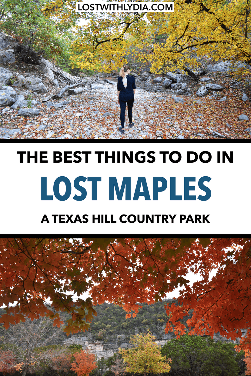 Experience the best fall foliage in Texas at Lost Maples State Park! This is the perfect Texas Hill Country destination to visit in the fall!