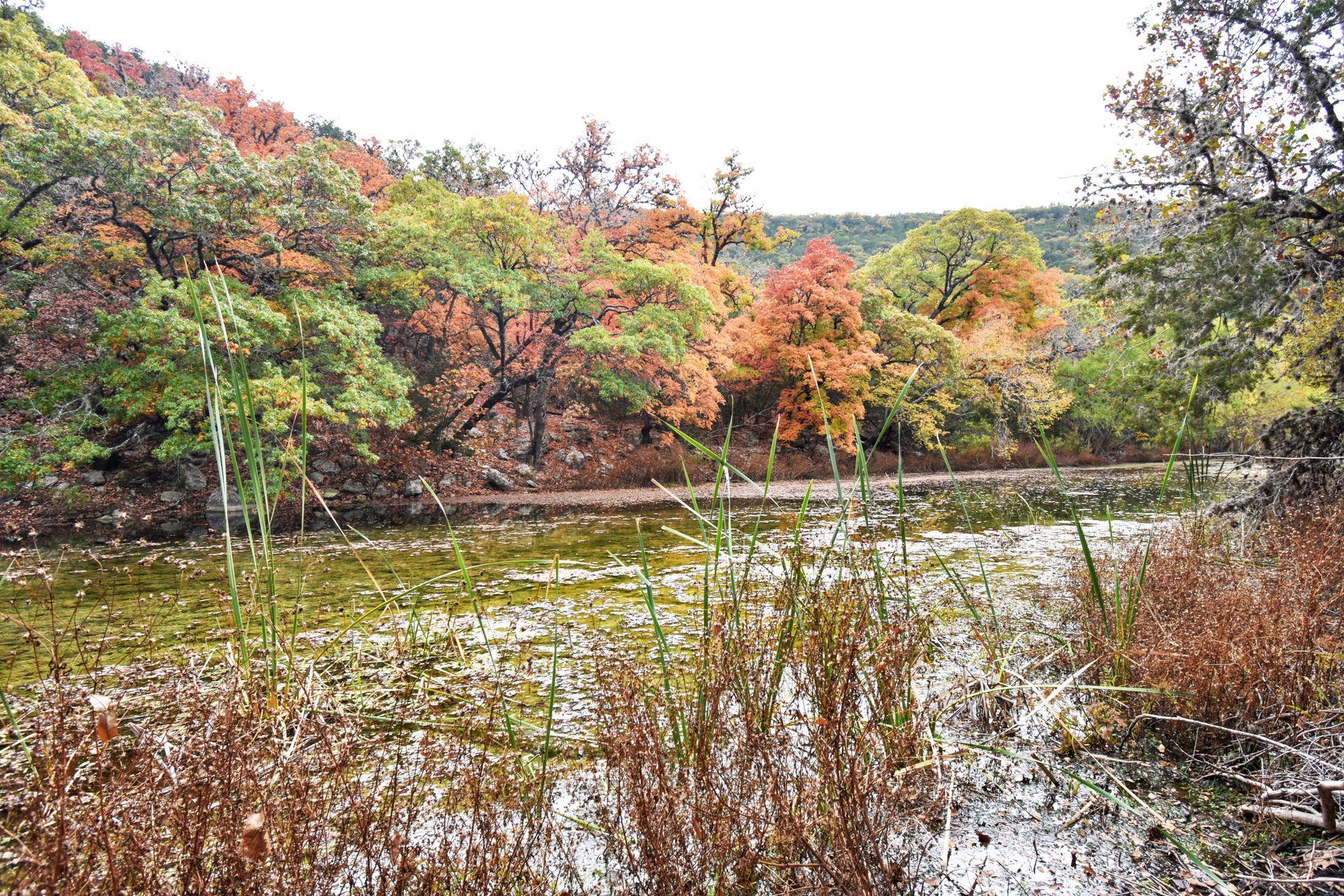 A river surrounded by colorful trees along a trail in Lost Maples.