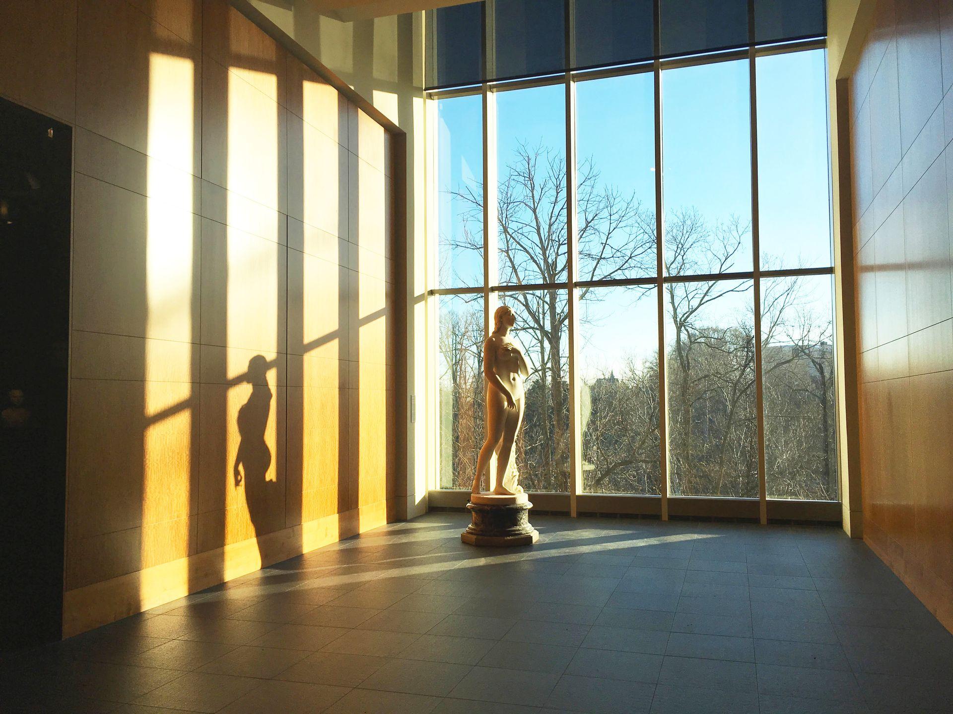 A sculpture of a women by a window inside the Cincinnati Art Museum. Natural light is flooding in and you can see the shadow of the statue on the wall.