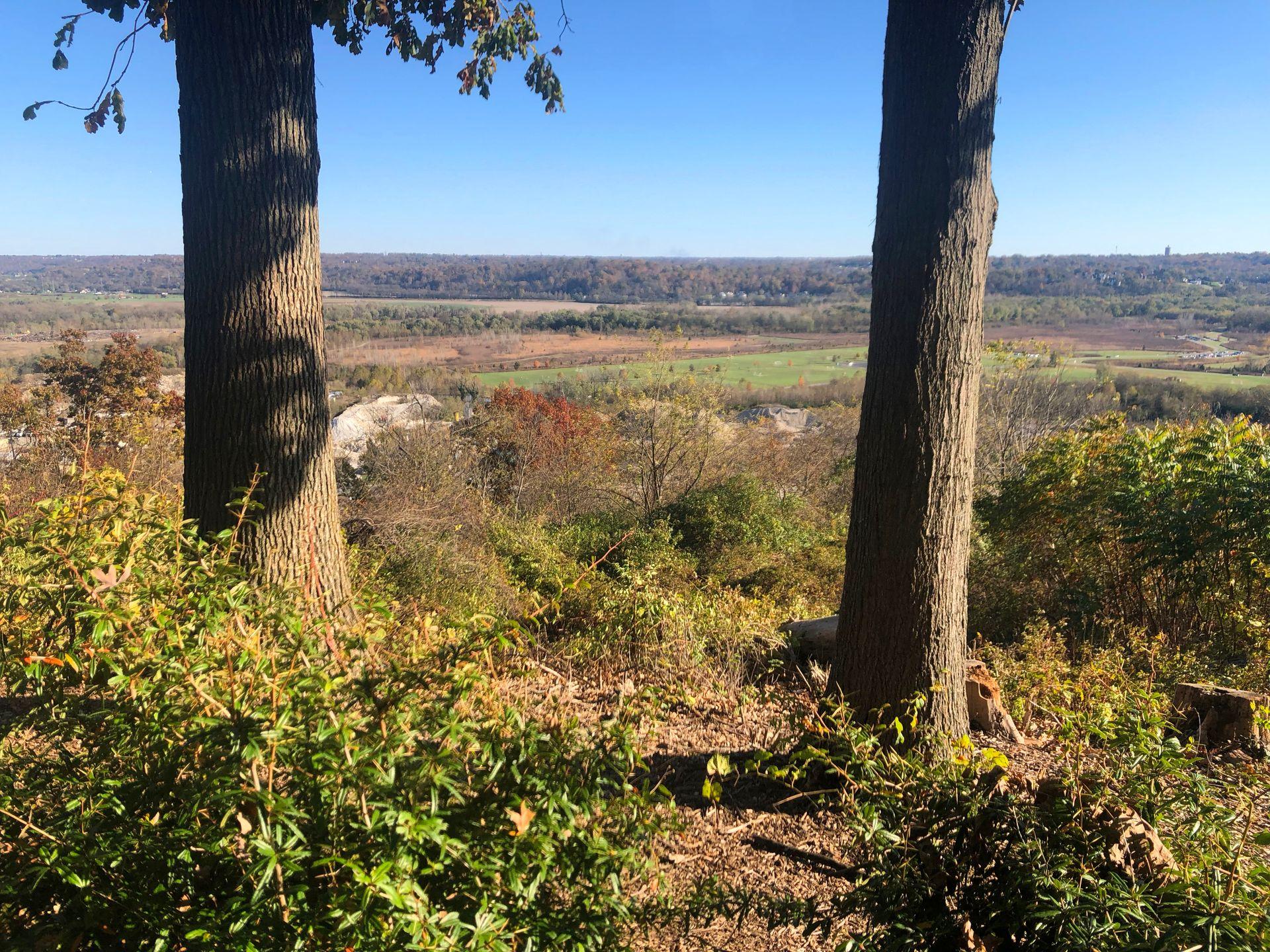 A photo of an overlook at Ault Park. There are two trees and Lunken airport in the background.