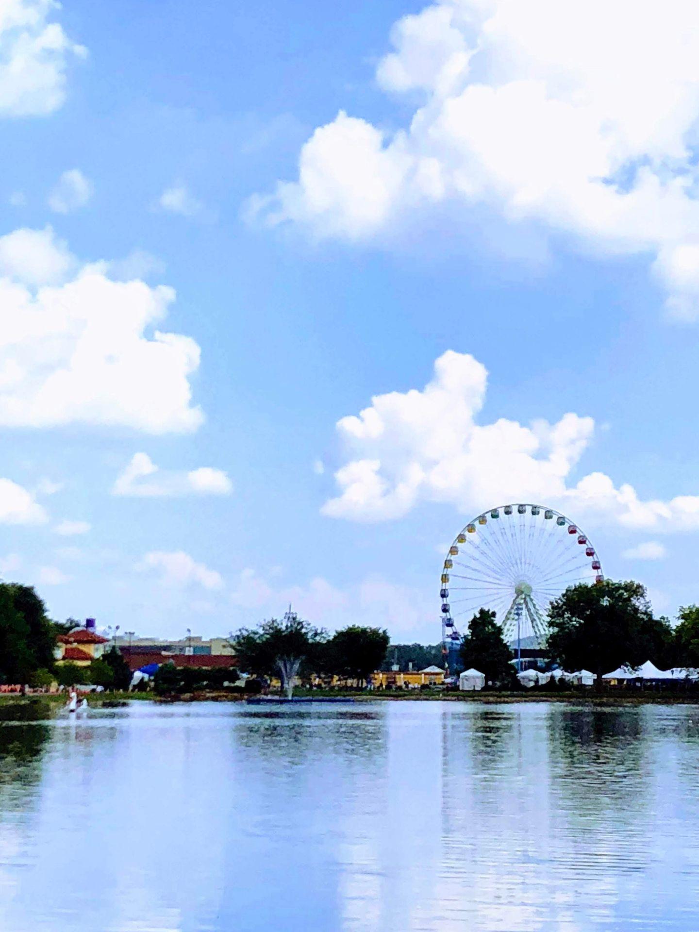 A lake with a ferris wheel in the background at Coney Island.