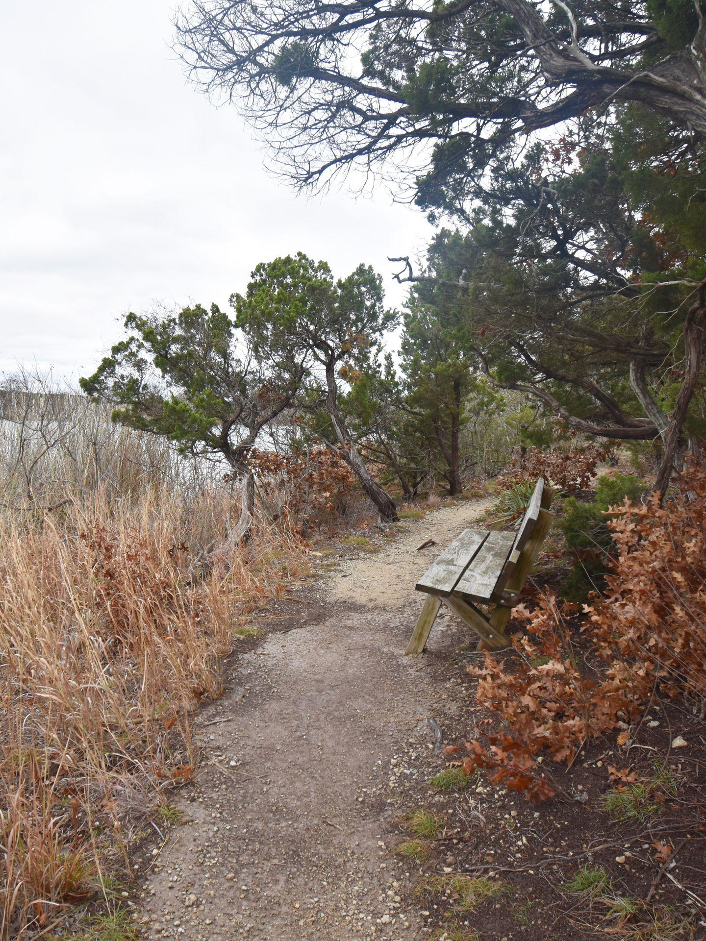 A bench along a trail in Cleburne State Park