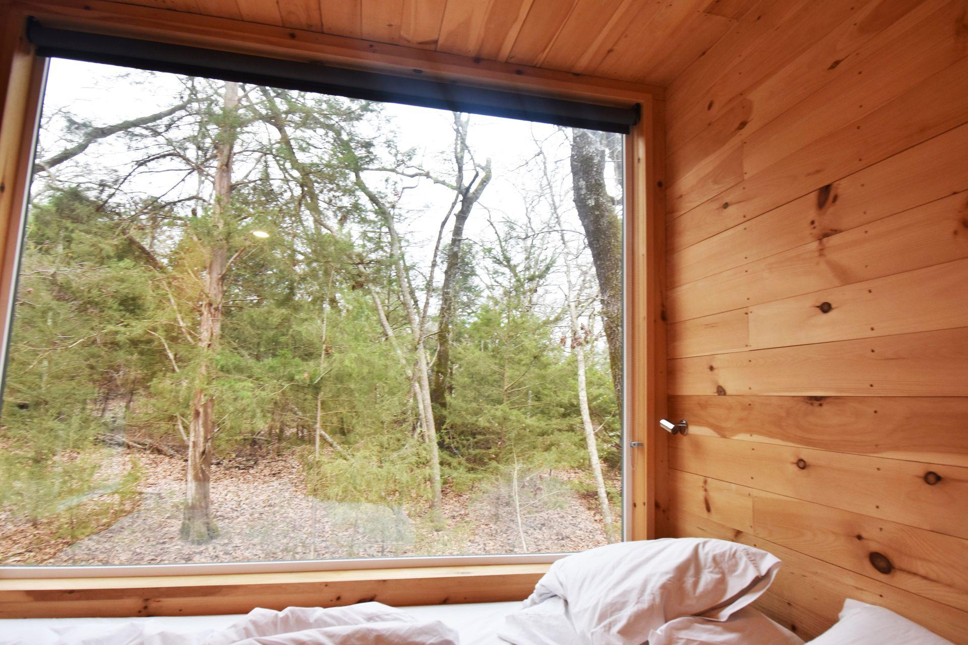 Looking out the window at the Getaway Cabin outside of Dallas.