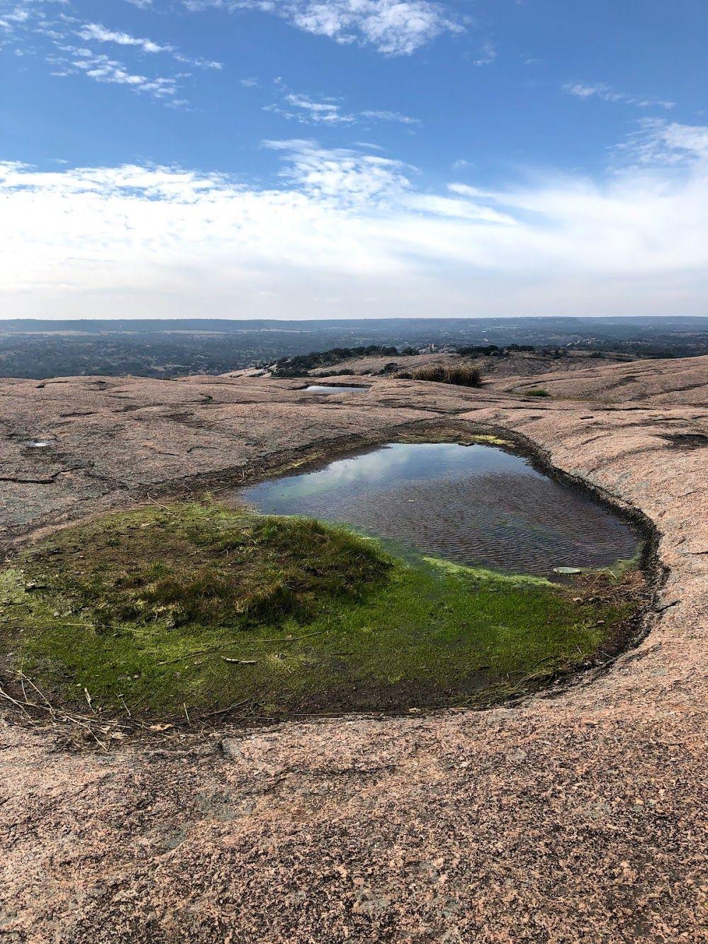 A rock face with a pool of water at Enchanted Rock.