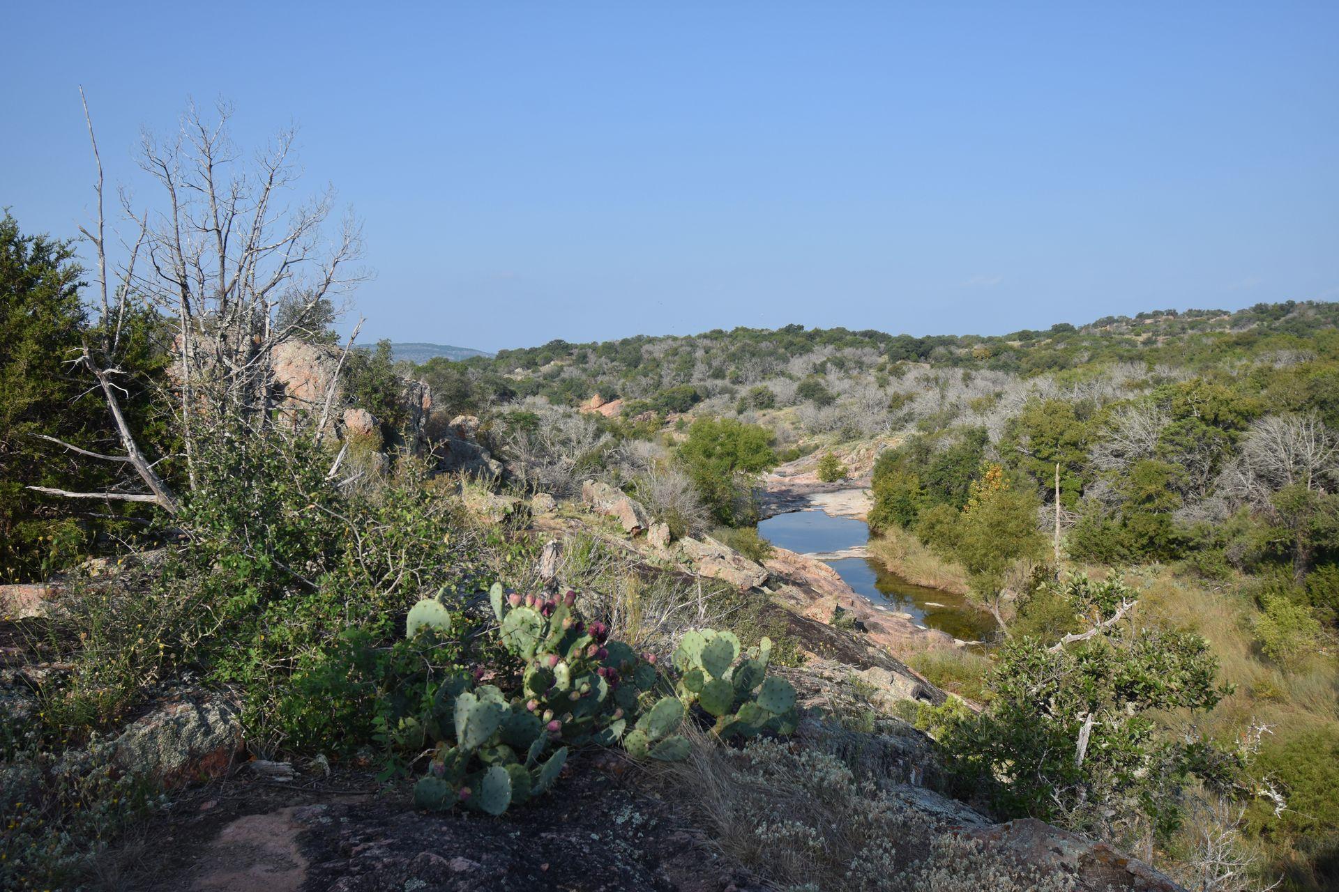 A view of desert landscape that looks down at a couple pools of water. There are some prickly pear cacti with purple flowers in the foreground.