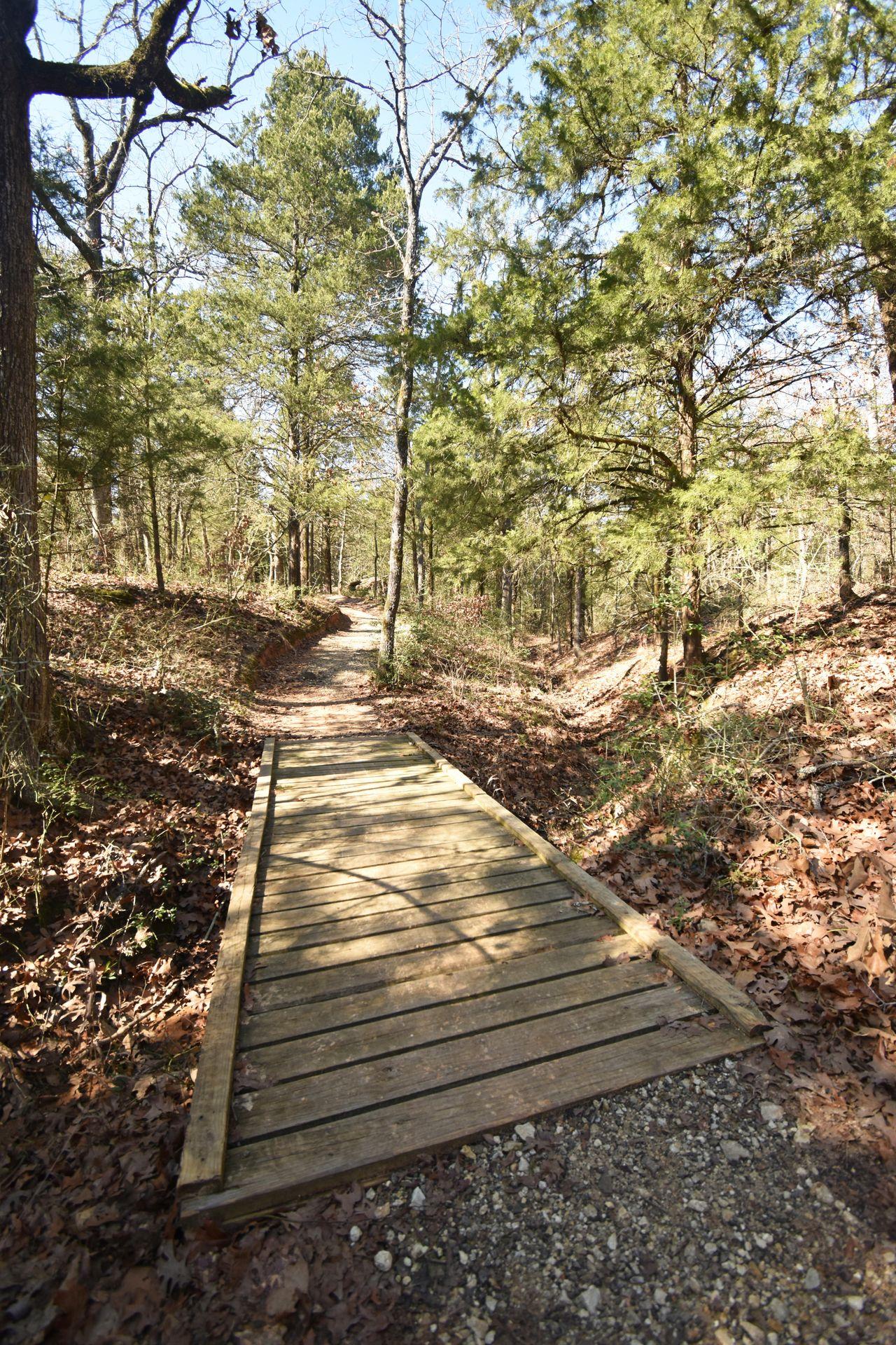 A trail with a wooden platform in the woods in Purtis Creek