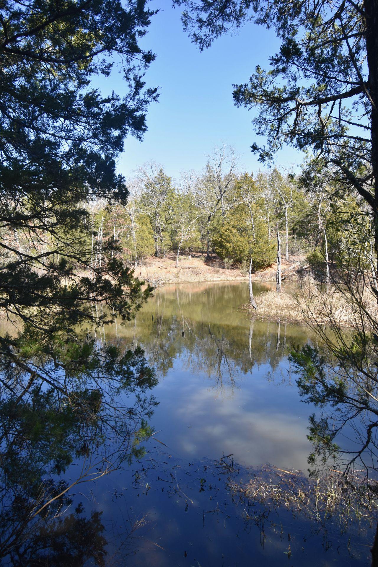A view of Beaver Pond, a small pond in Purtis Creek State Park.