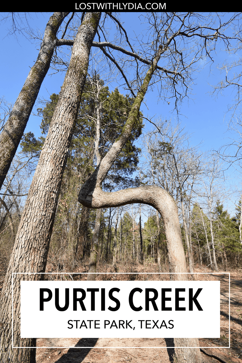 A guide to visiting Purtis Creek State Park, a Texas state park a short drive away from the DFW area.