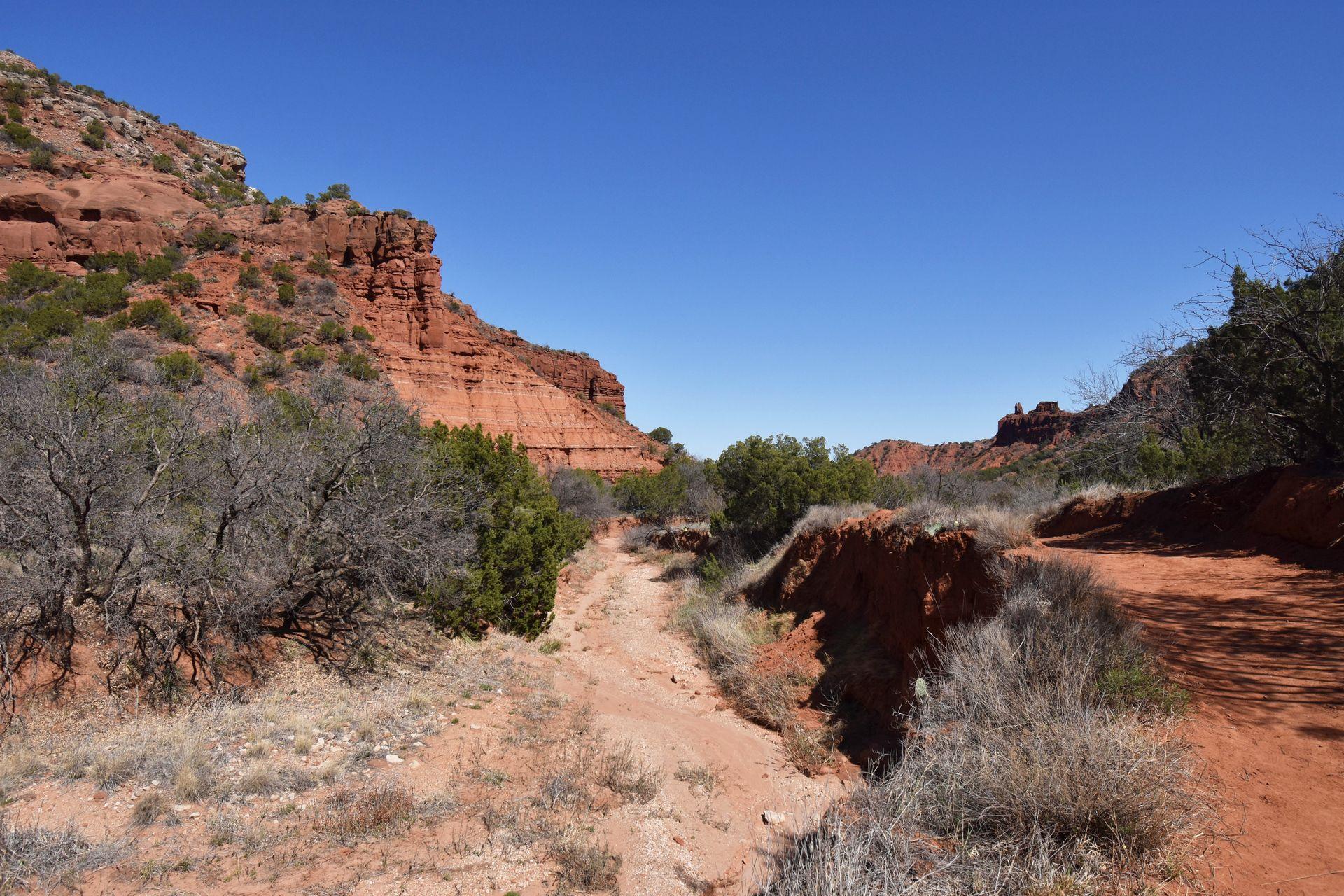A view of orange rocks in the canyon while hiking in Caprock Canyons State Park.
