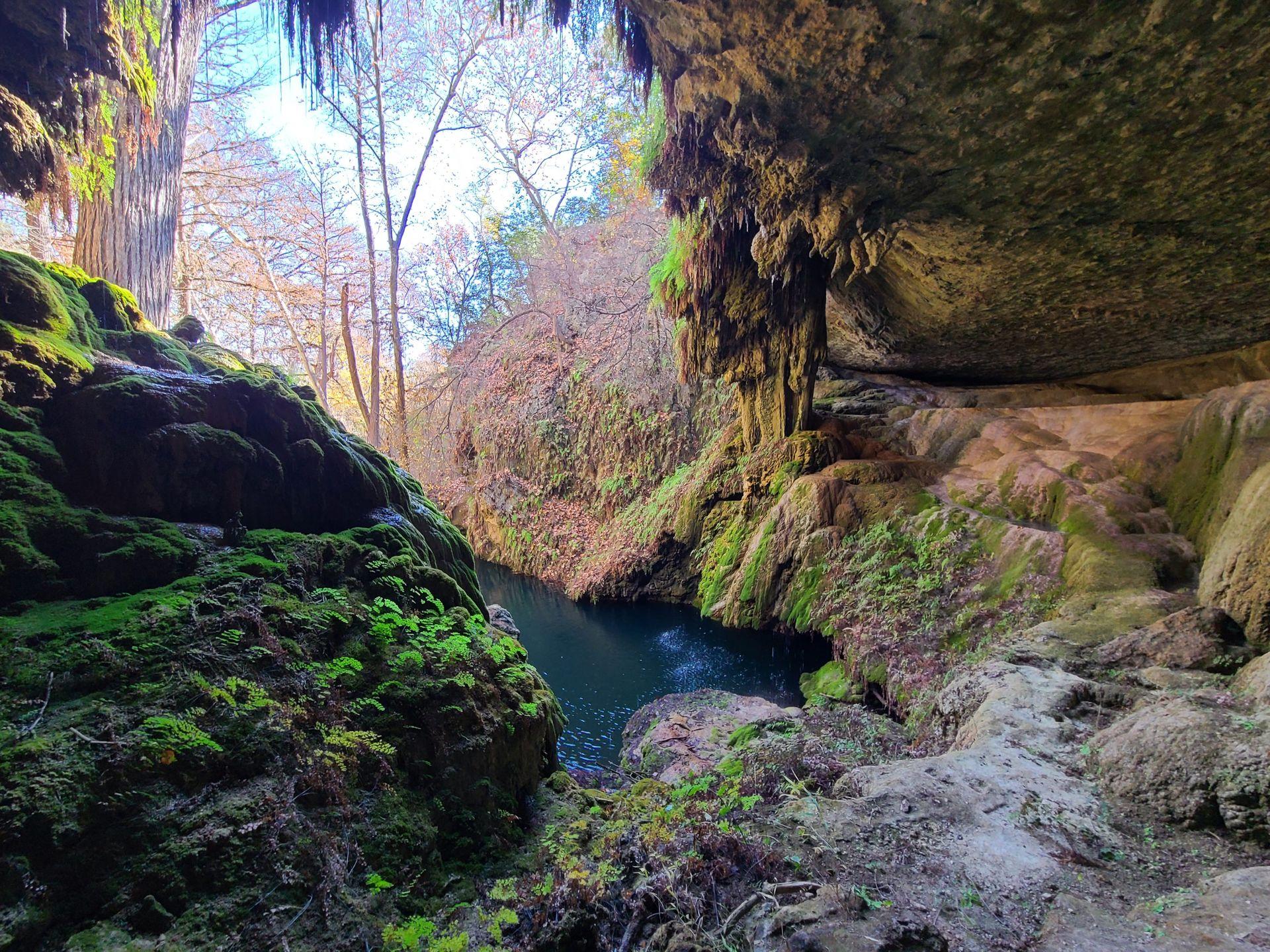 A grotto with a pool of water and green moss at West Cave Outdoor Discovery Center.