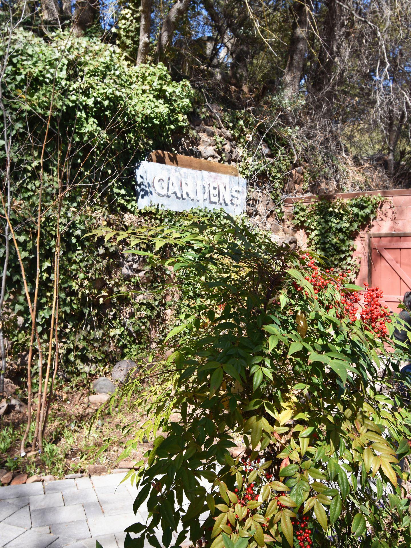 A wall covered in vines and greenery with a small sign that reads "Gardens" surrounded by the plants.
