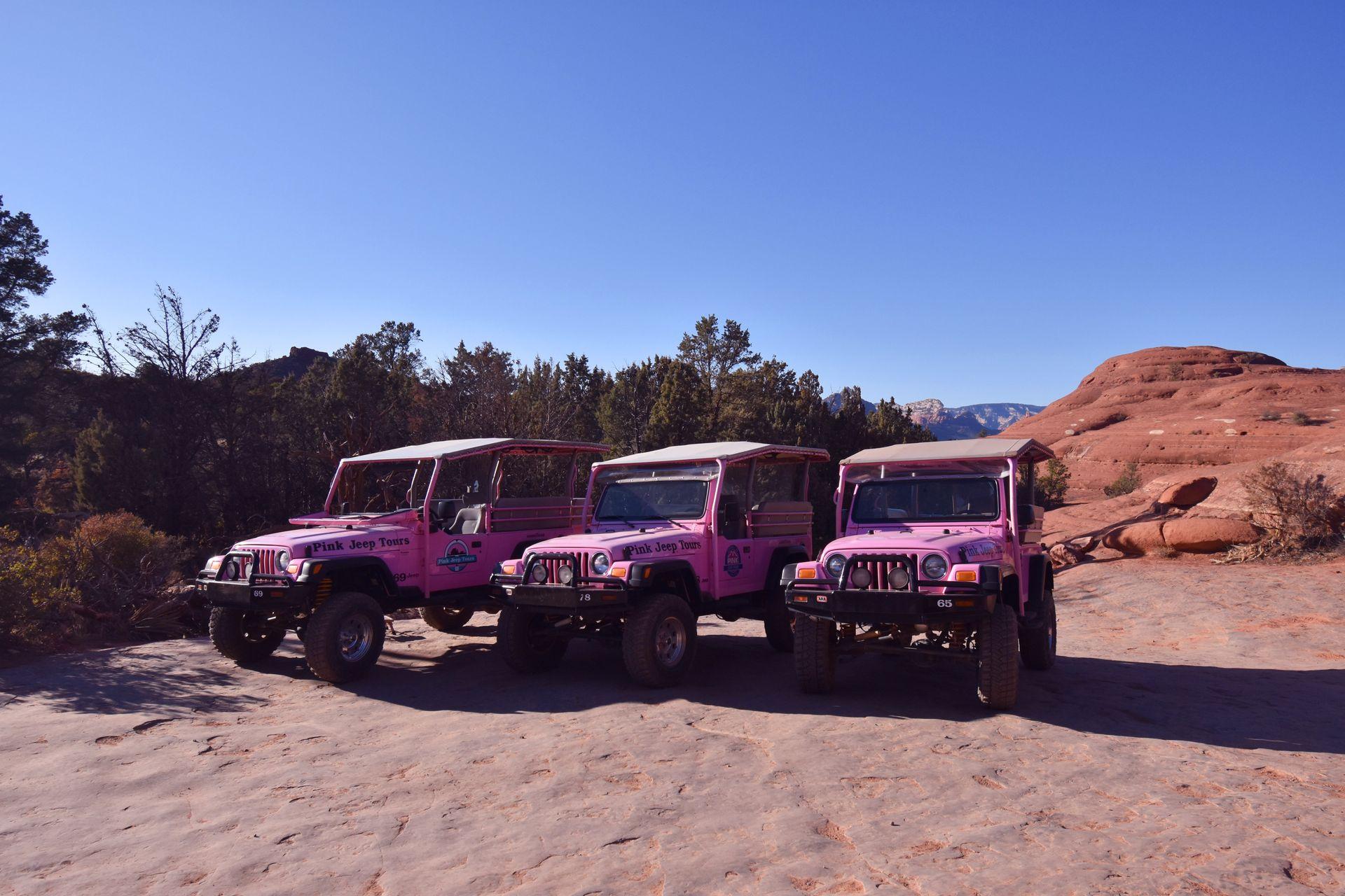 Three pink jeeps parked next to each other during the Broken Arrow Pink Jeep tour.