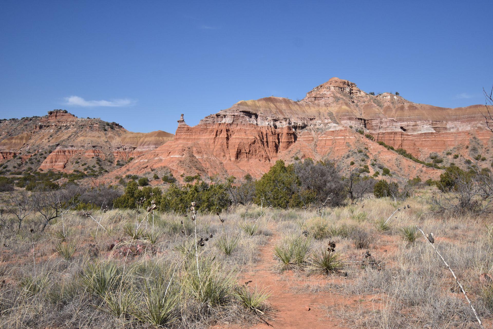 A tall orange rock face with some stripes of white at Palo Duro Canyon State Park.