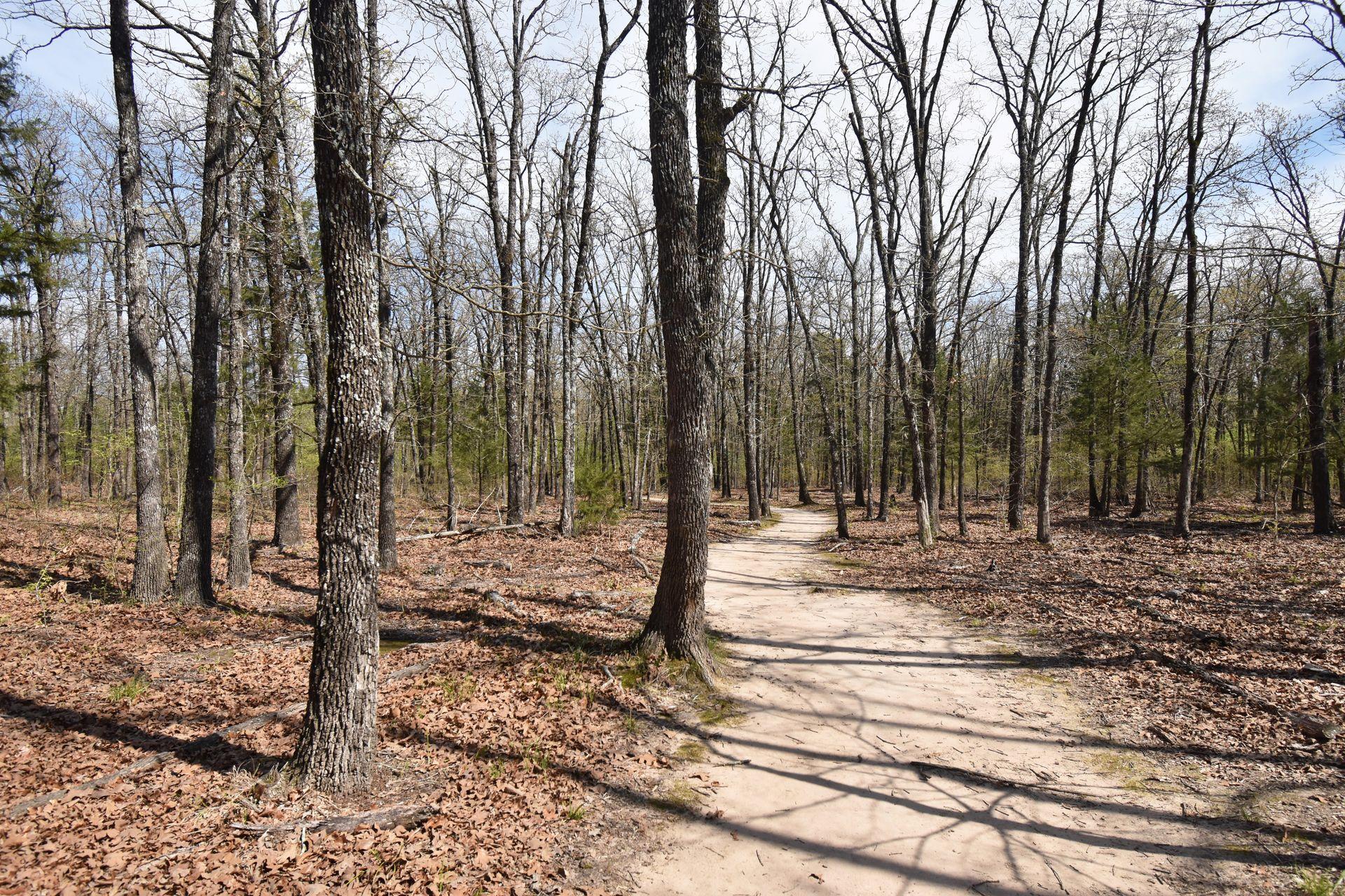 A well marked trail leading through a forest of bare trees. The ground below the trees is covered in leaves.