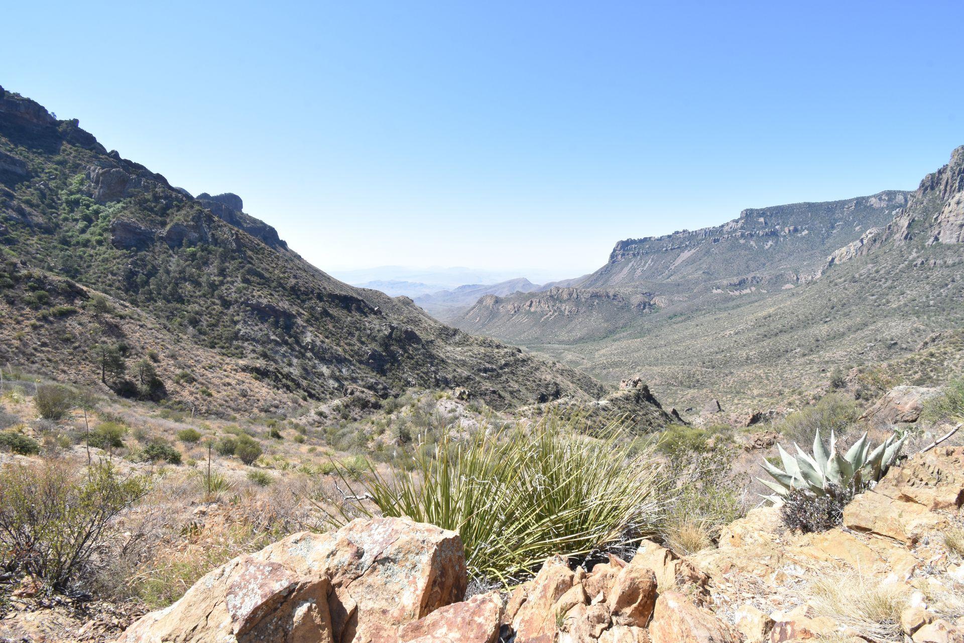 A view of desert mountains on the Lost Mine Trail.