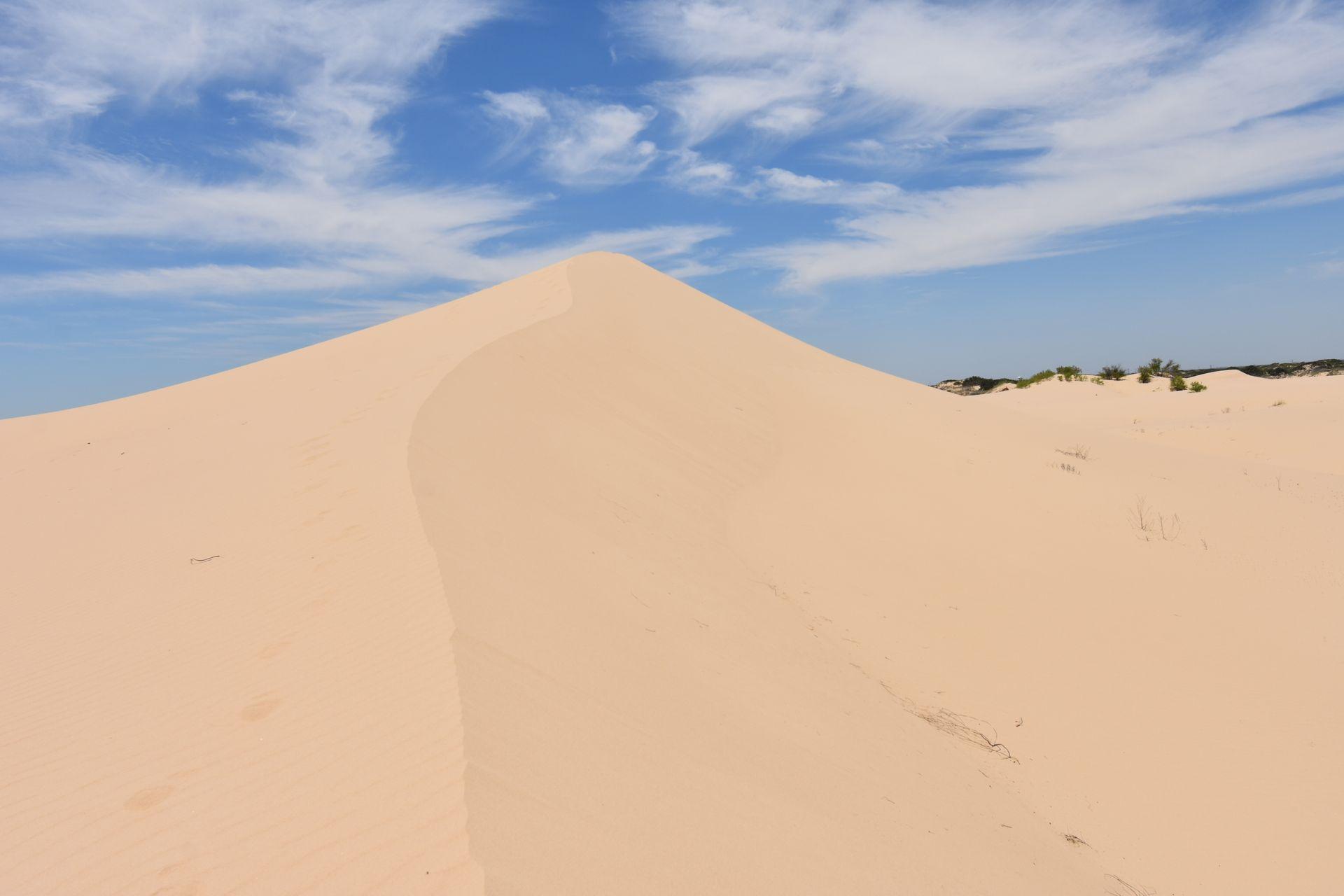 A large hill of sand at Monahans Sandhills State Park.