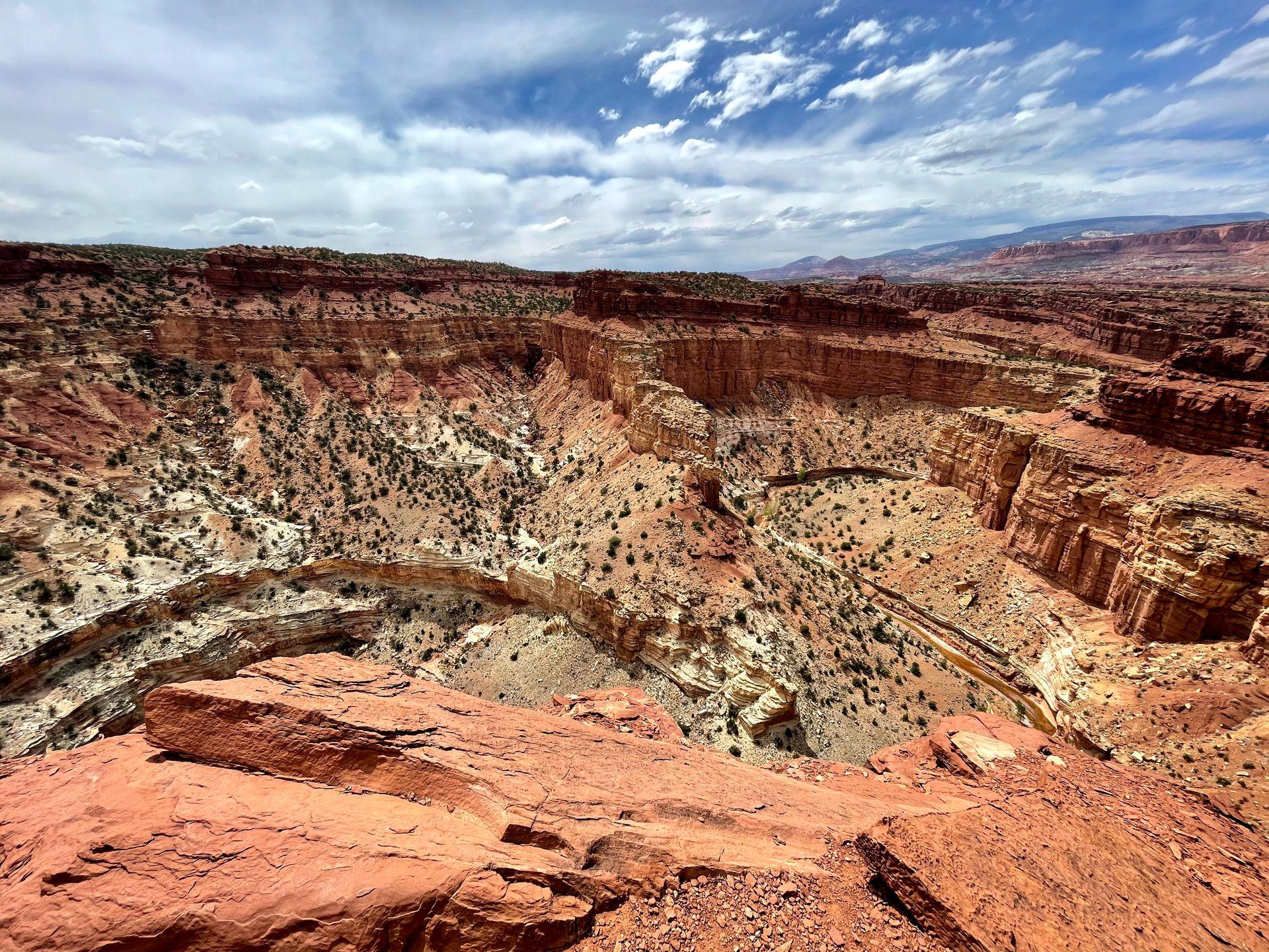 A curved gorge that resembles a S is surrounded by orange cliffs. This is the views at the Goosenecks Overlook.
