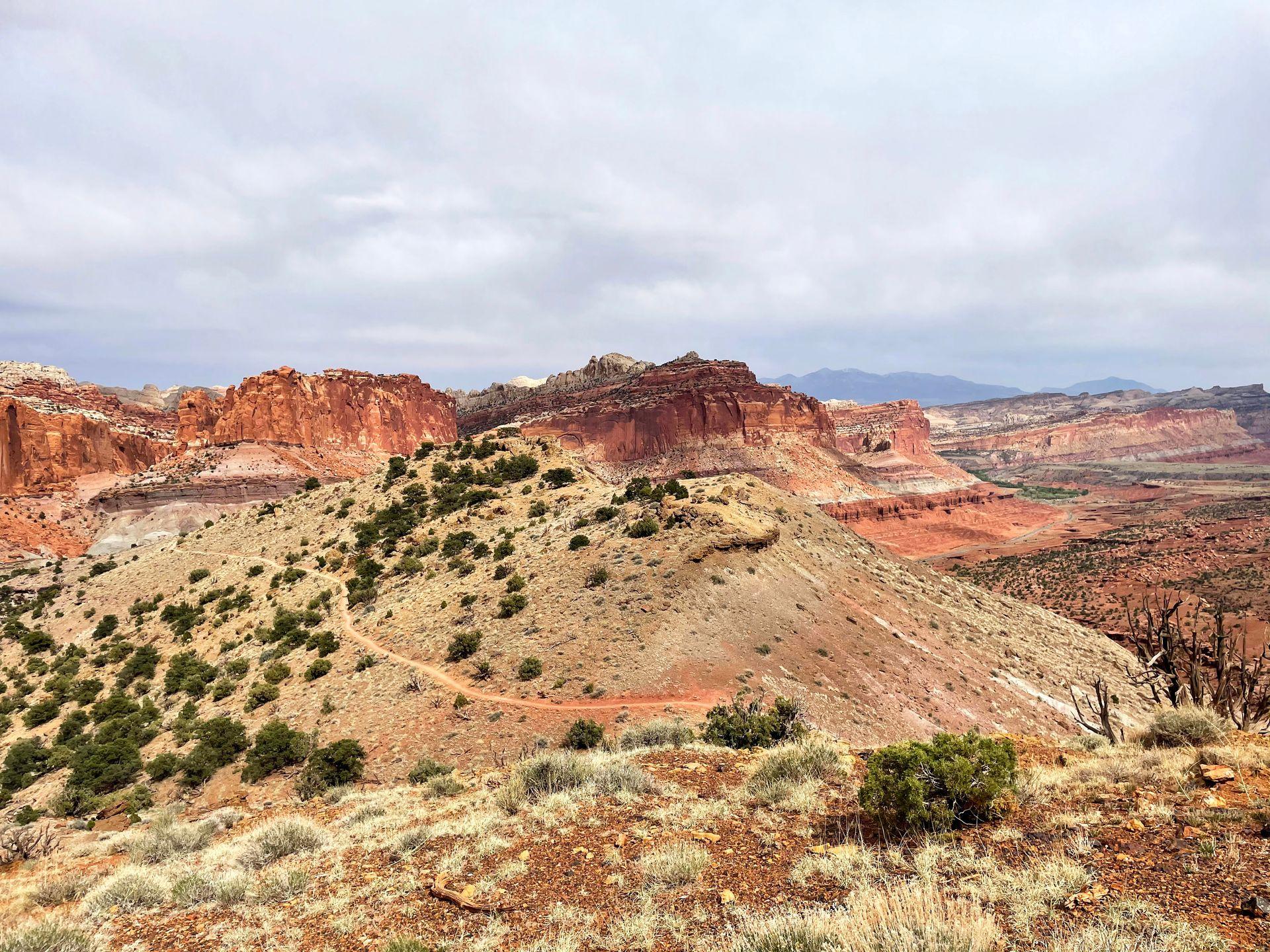 A view of the Water Pocket Fold at Capitol Reef. Orange cliffs look as if they are tiled up in the air.