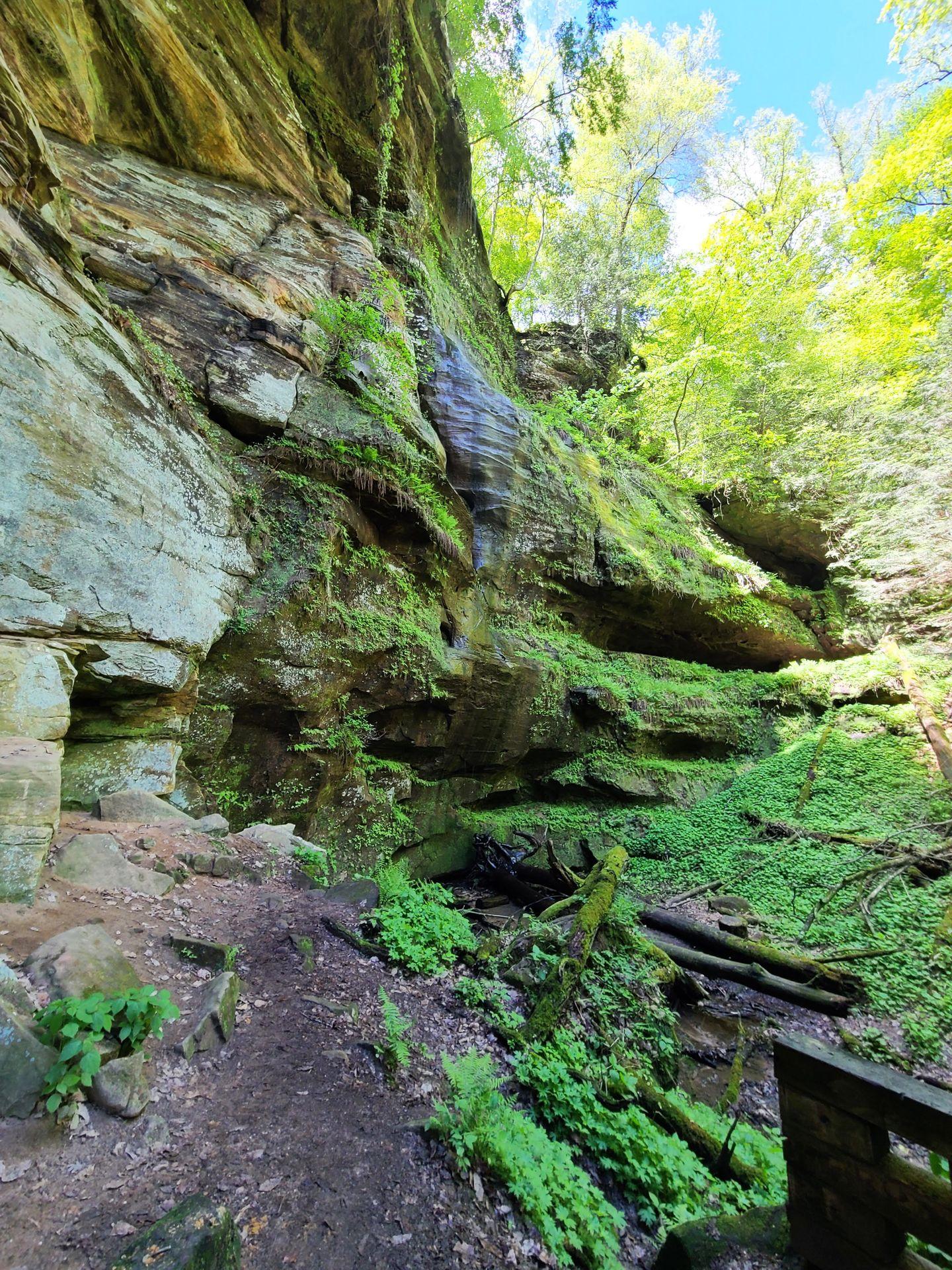 A wall of rocks covered in green moss in Hocking Hills.