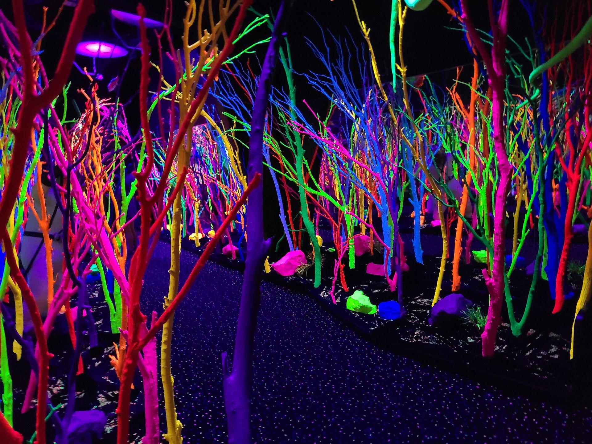 A dark pathway lined with neon trees at Meow Wolf.