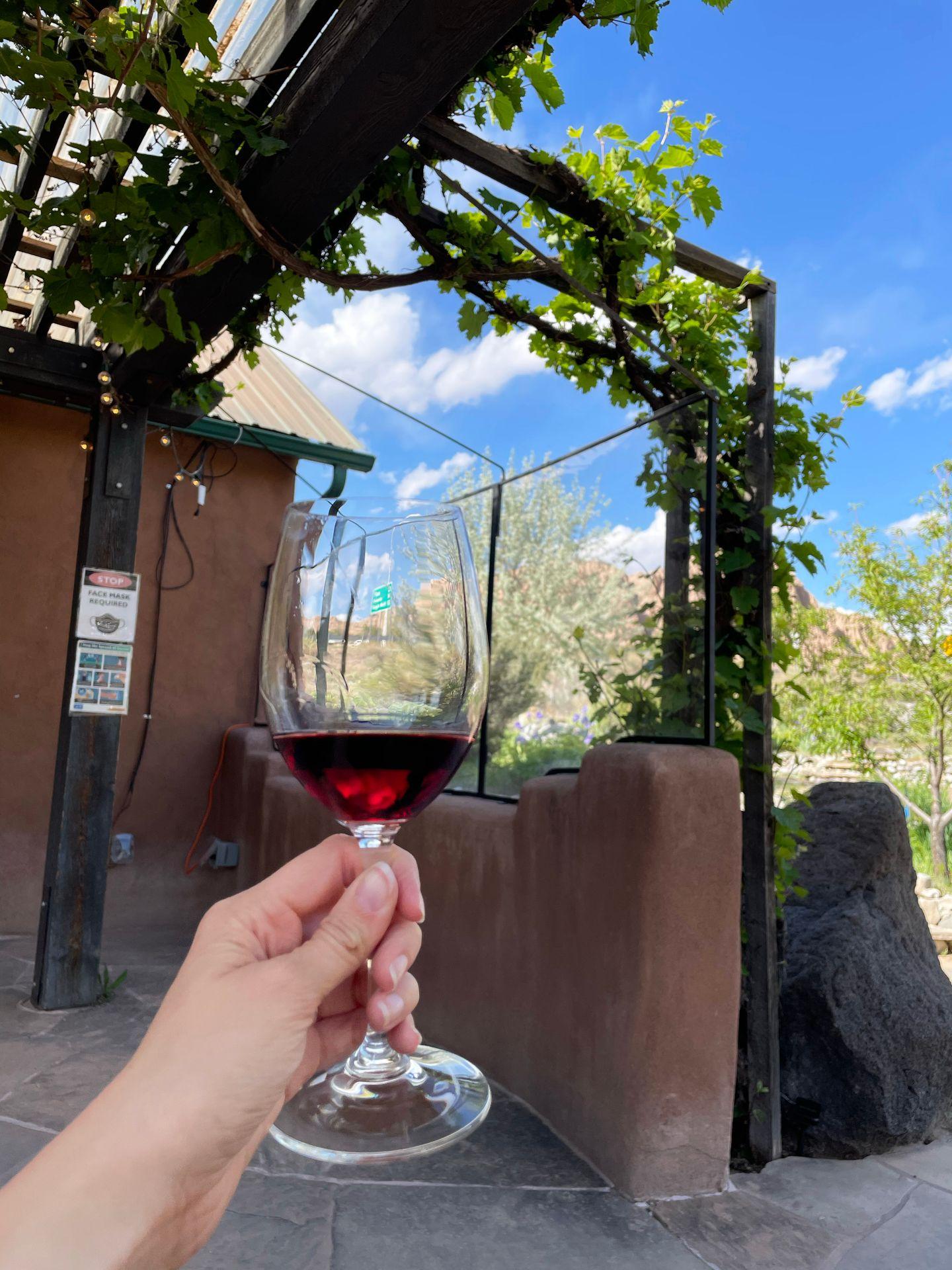 Holding up a glass of red wine in front of a structure that has green vines hanging from the edges.