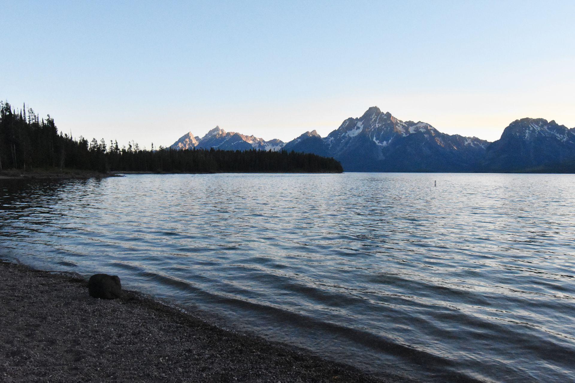 A view of Colter Bay Beach with the Grand Teton Mountains across the lake. The lighting is close to sunset.