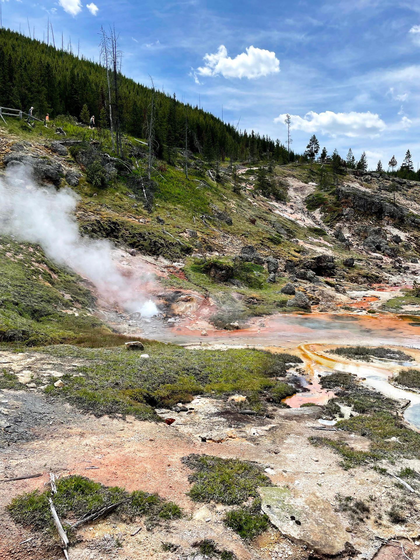 Colorful orange, hot springs on the Artist's Paintpots trail.