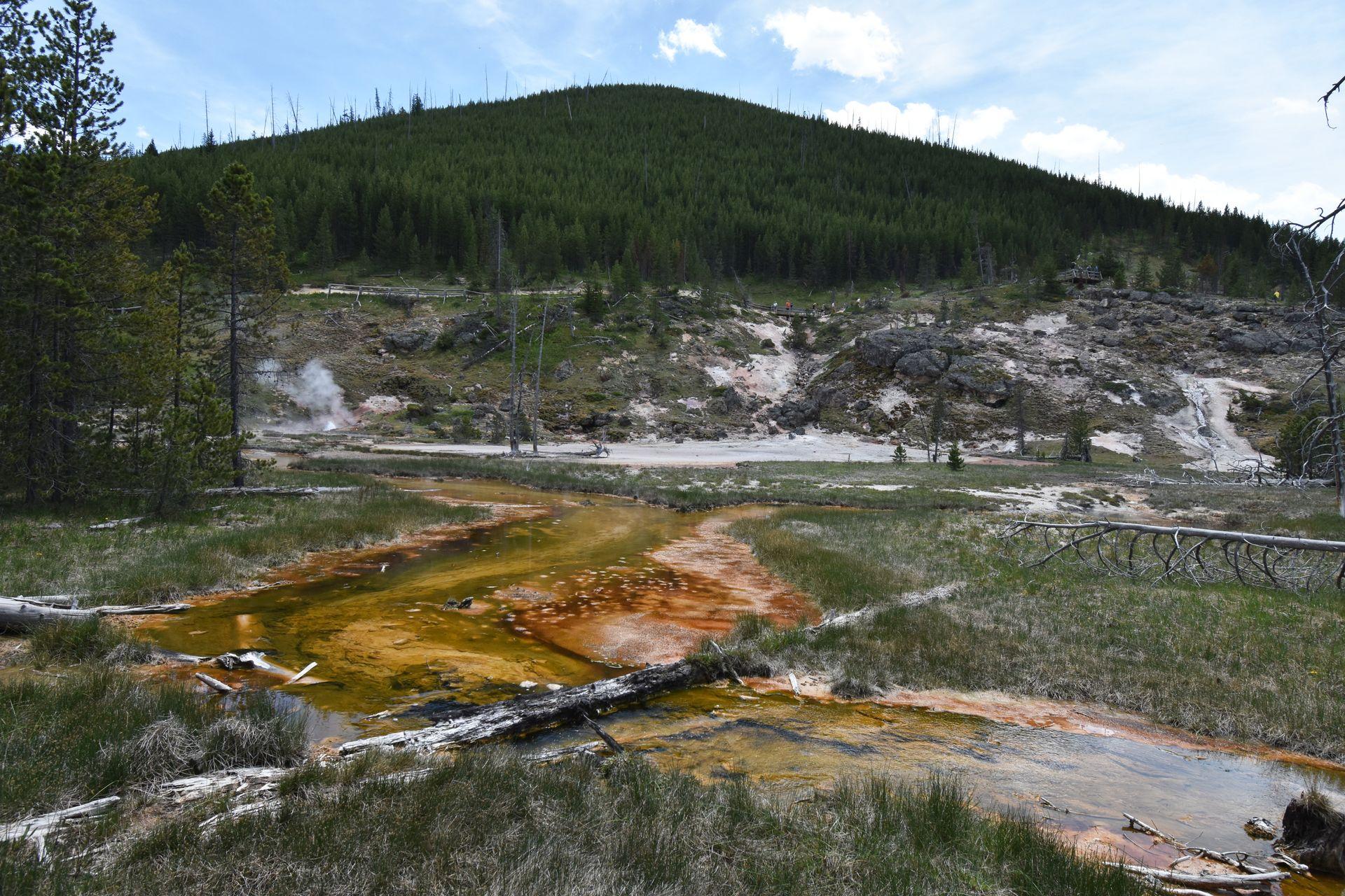 Orange and yellow hot springs with a green hill in the background at the Artist's Paintpots.